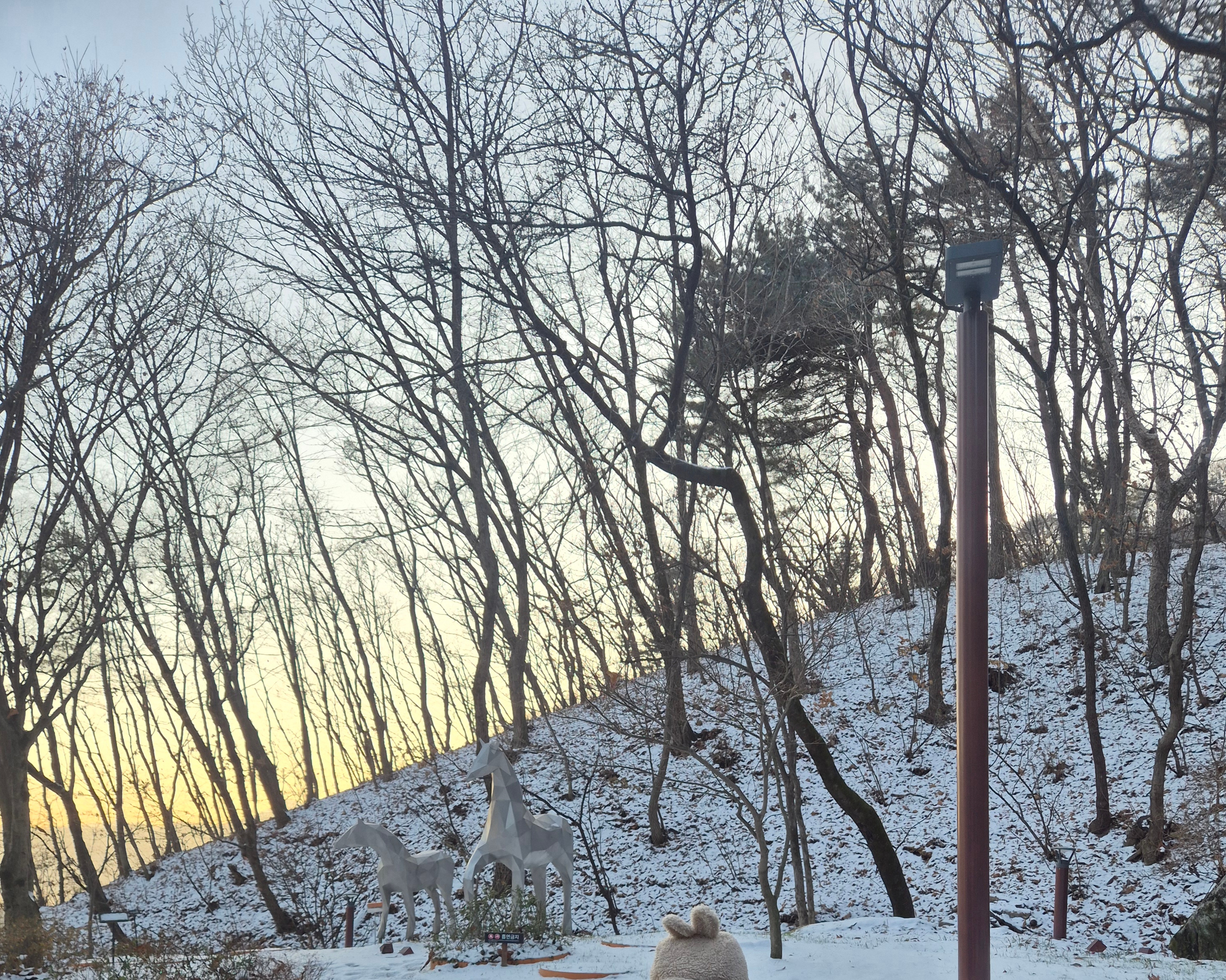 겨울숲