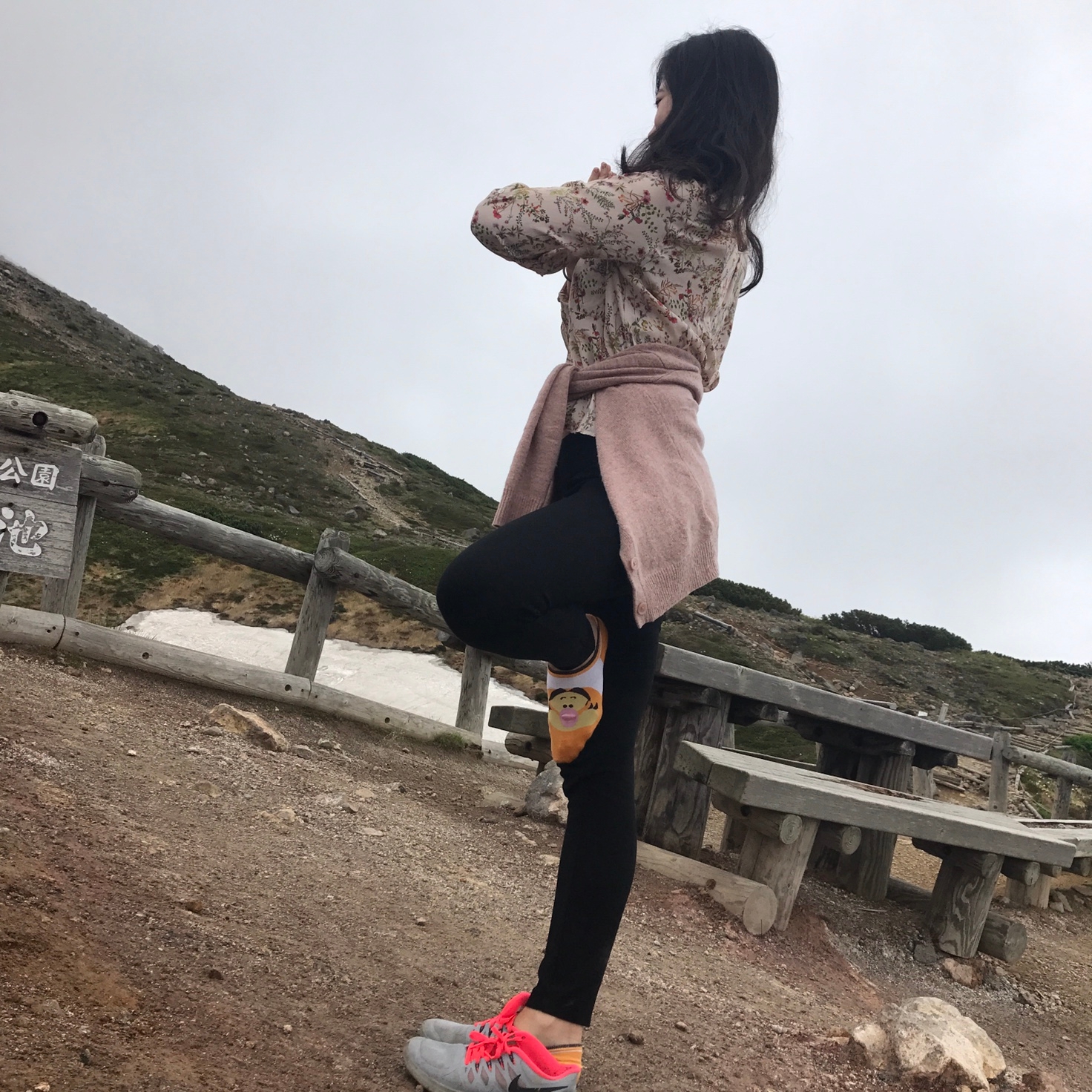 백세림