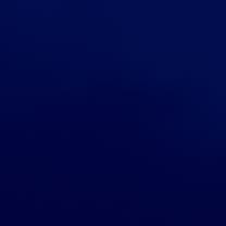 Y N