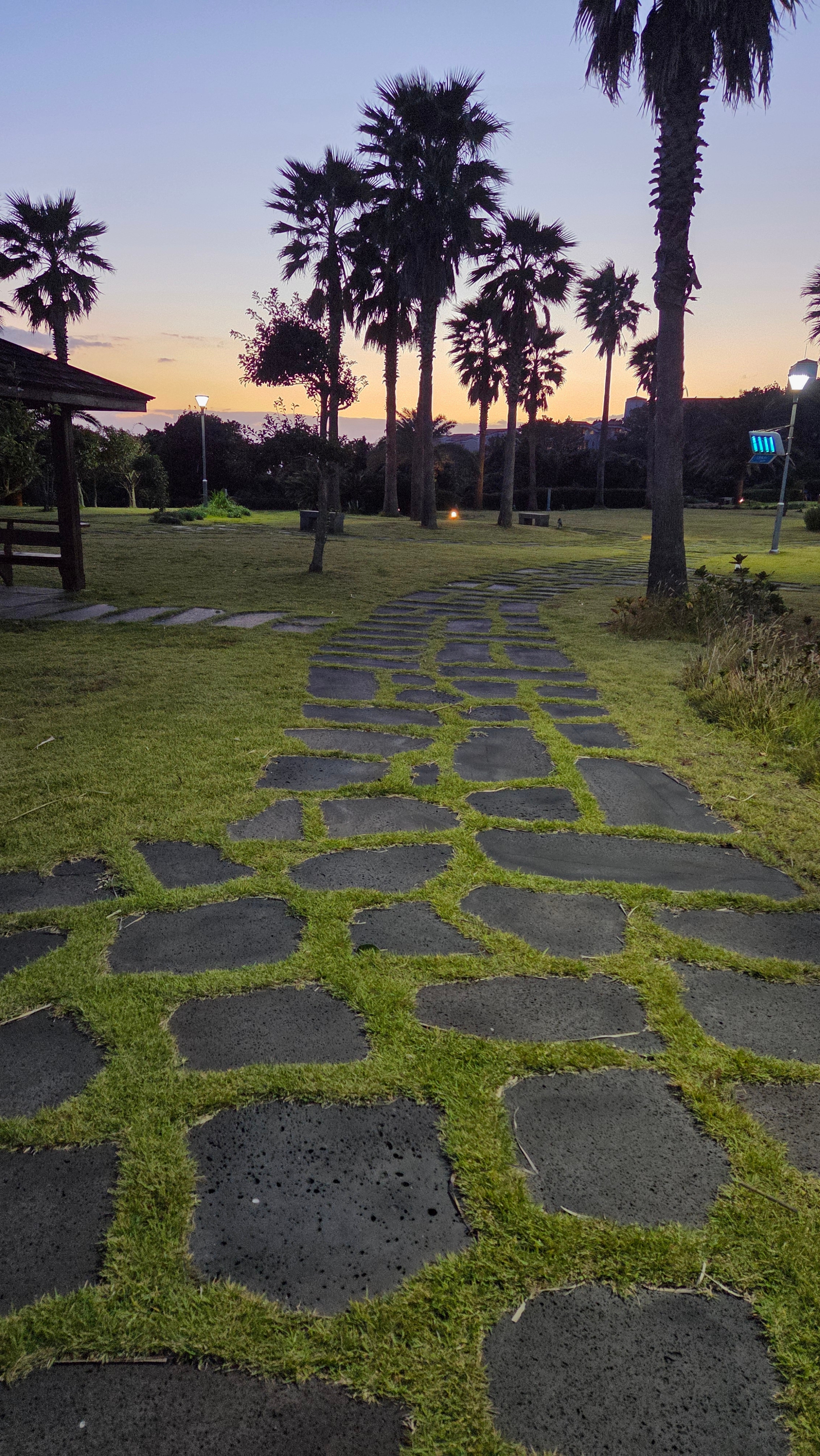 파란별