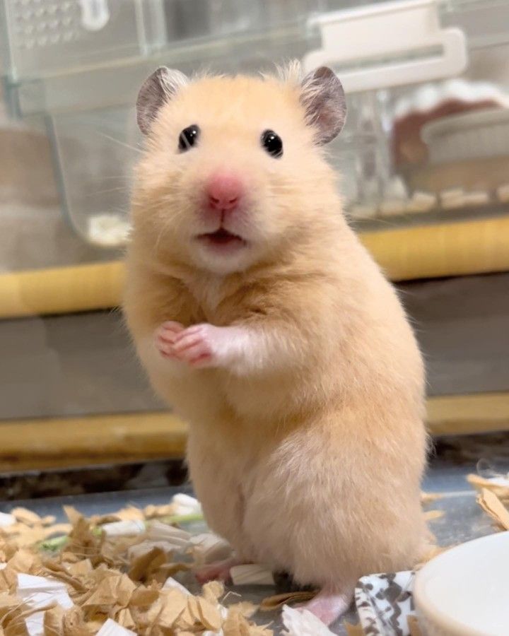 럭스