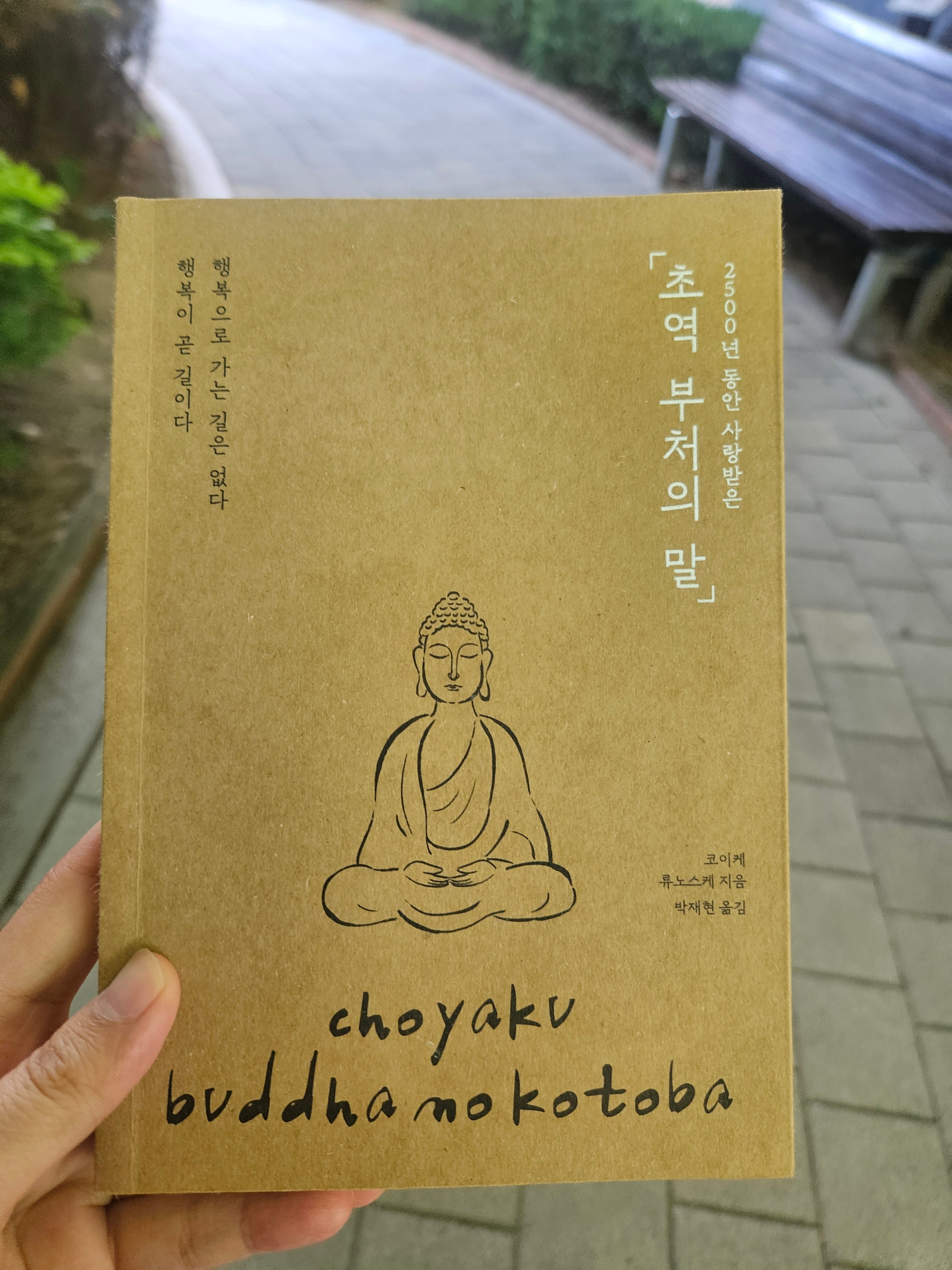 블루베리스뮤디