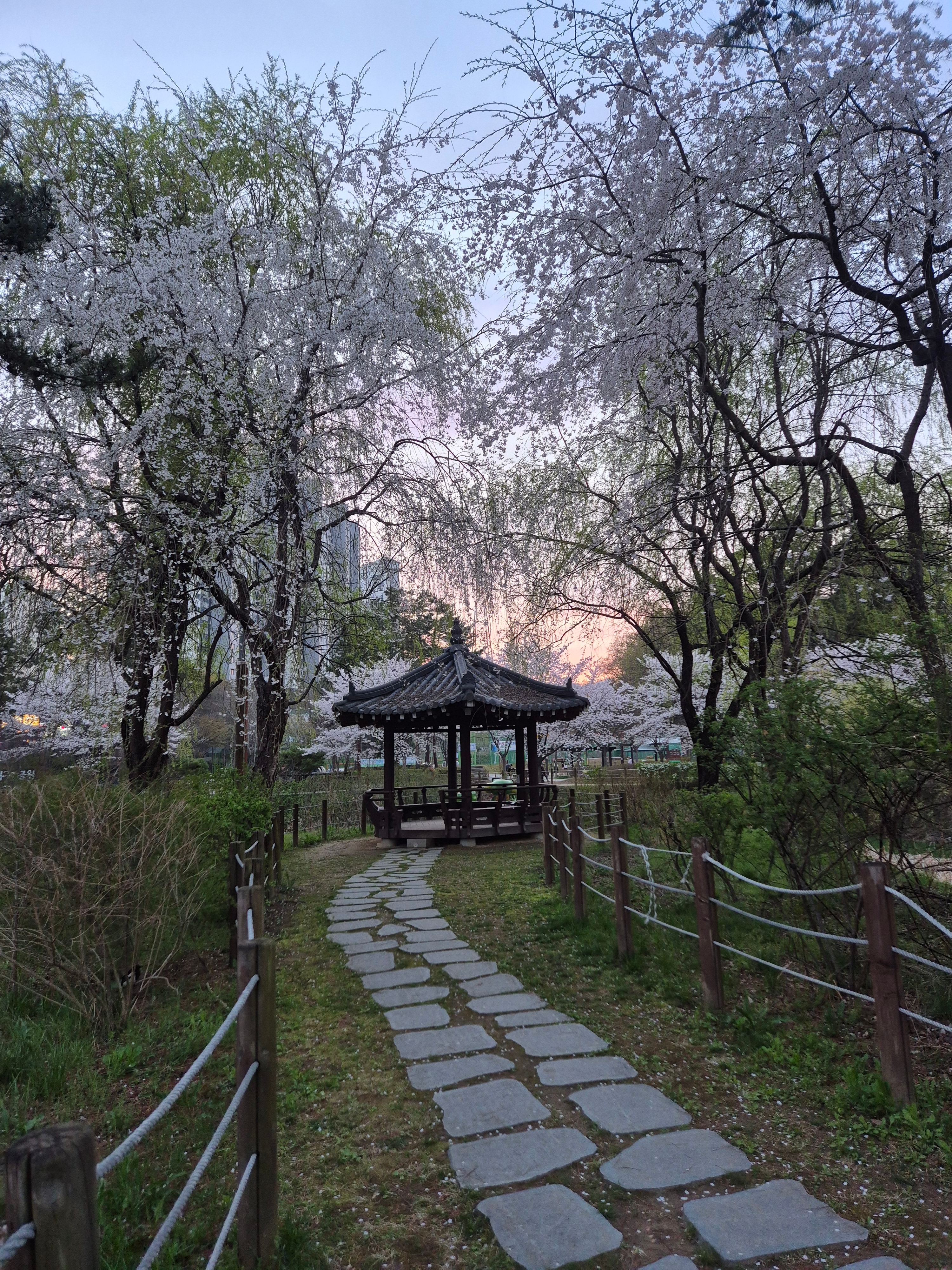 정유립