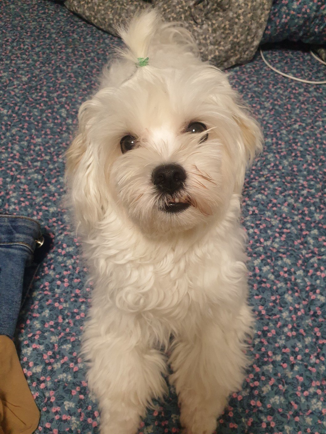 Lucy