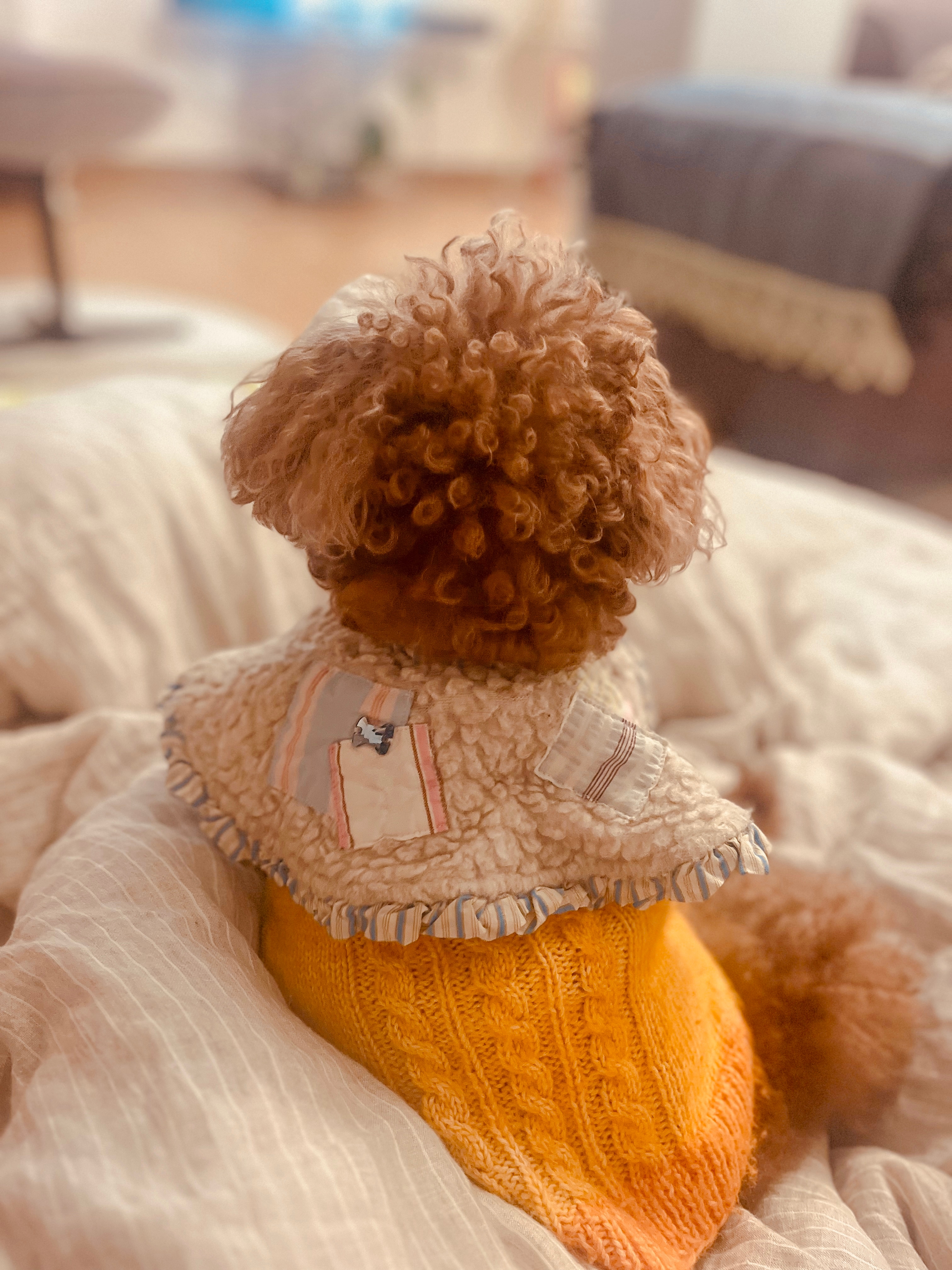 연재향