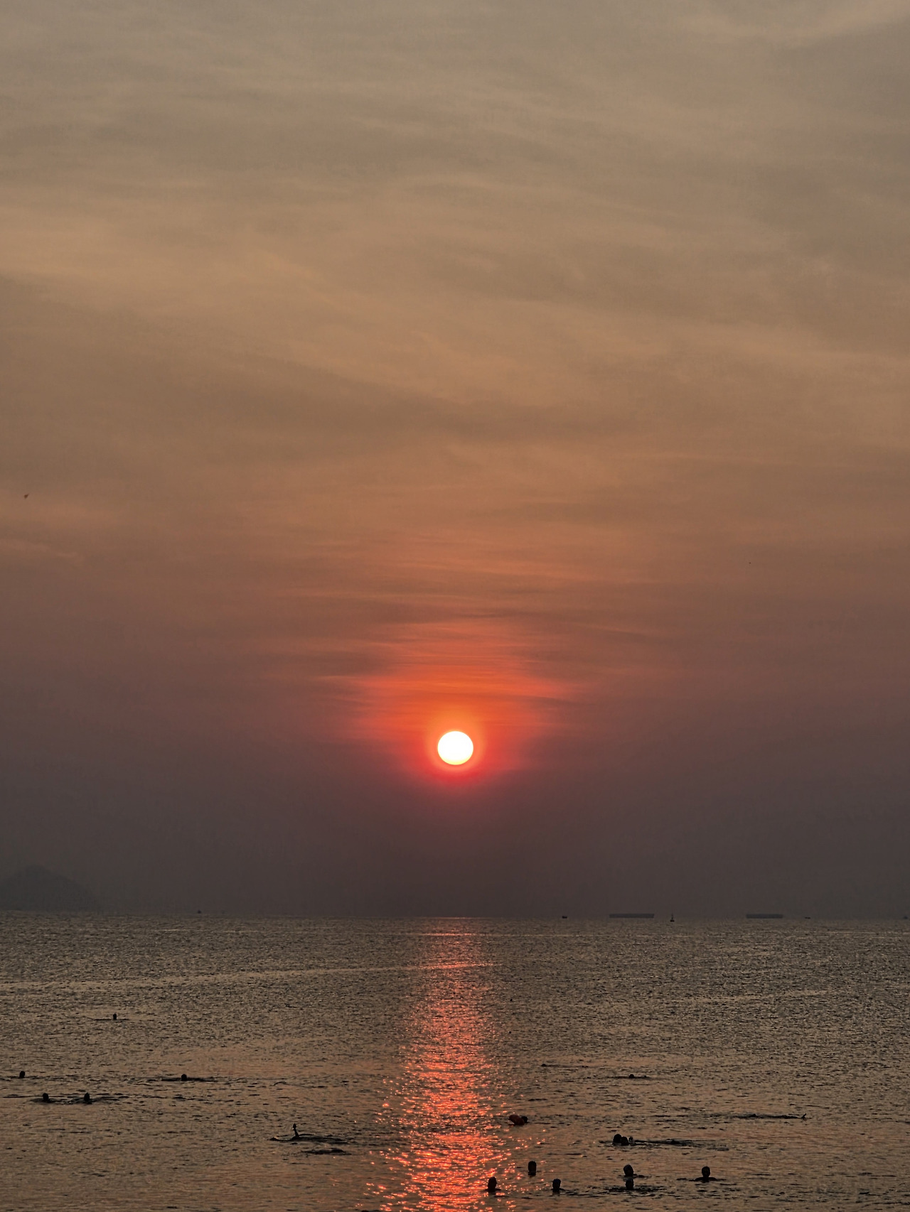 베어스
