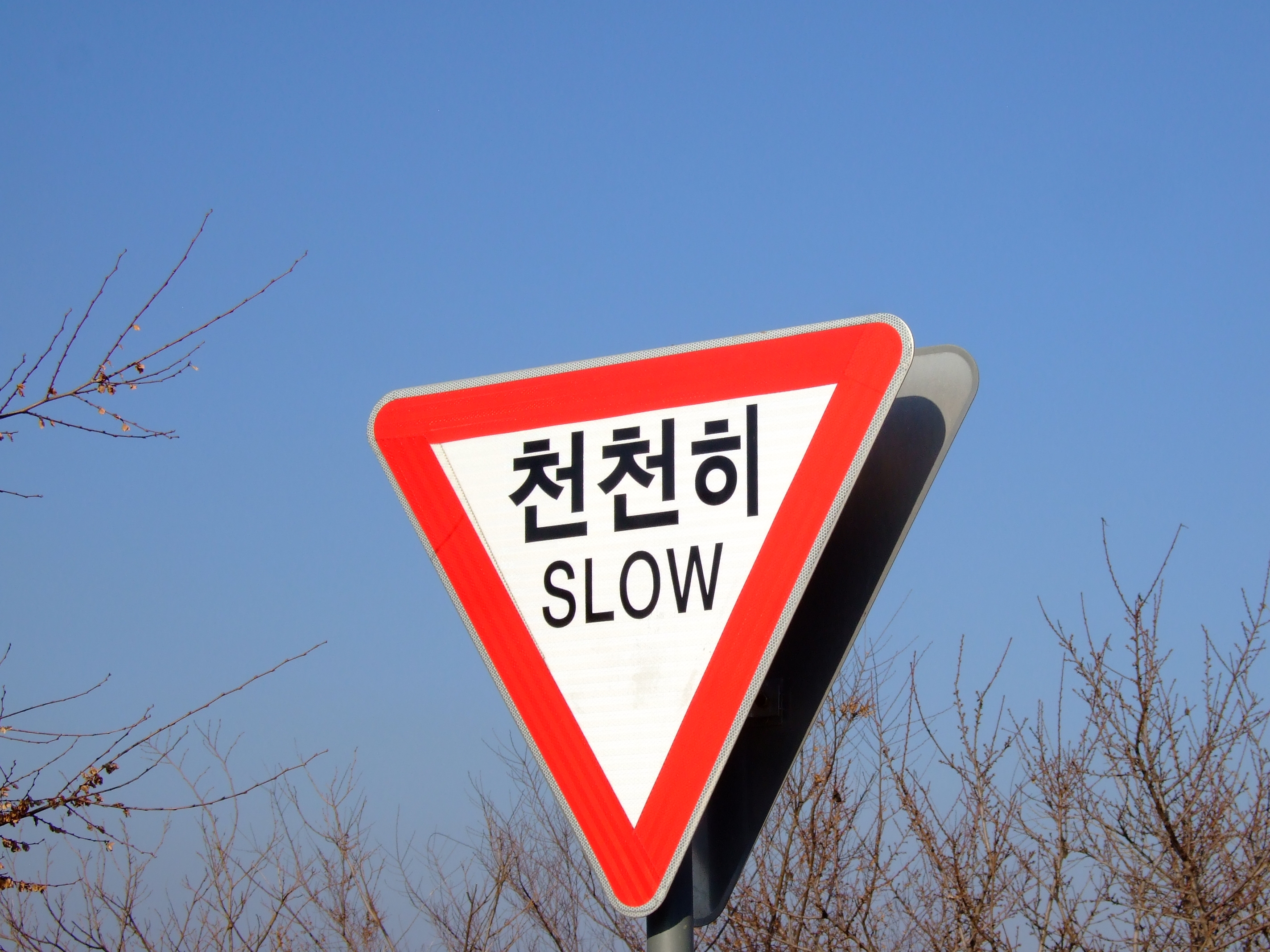 꽈르부