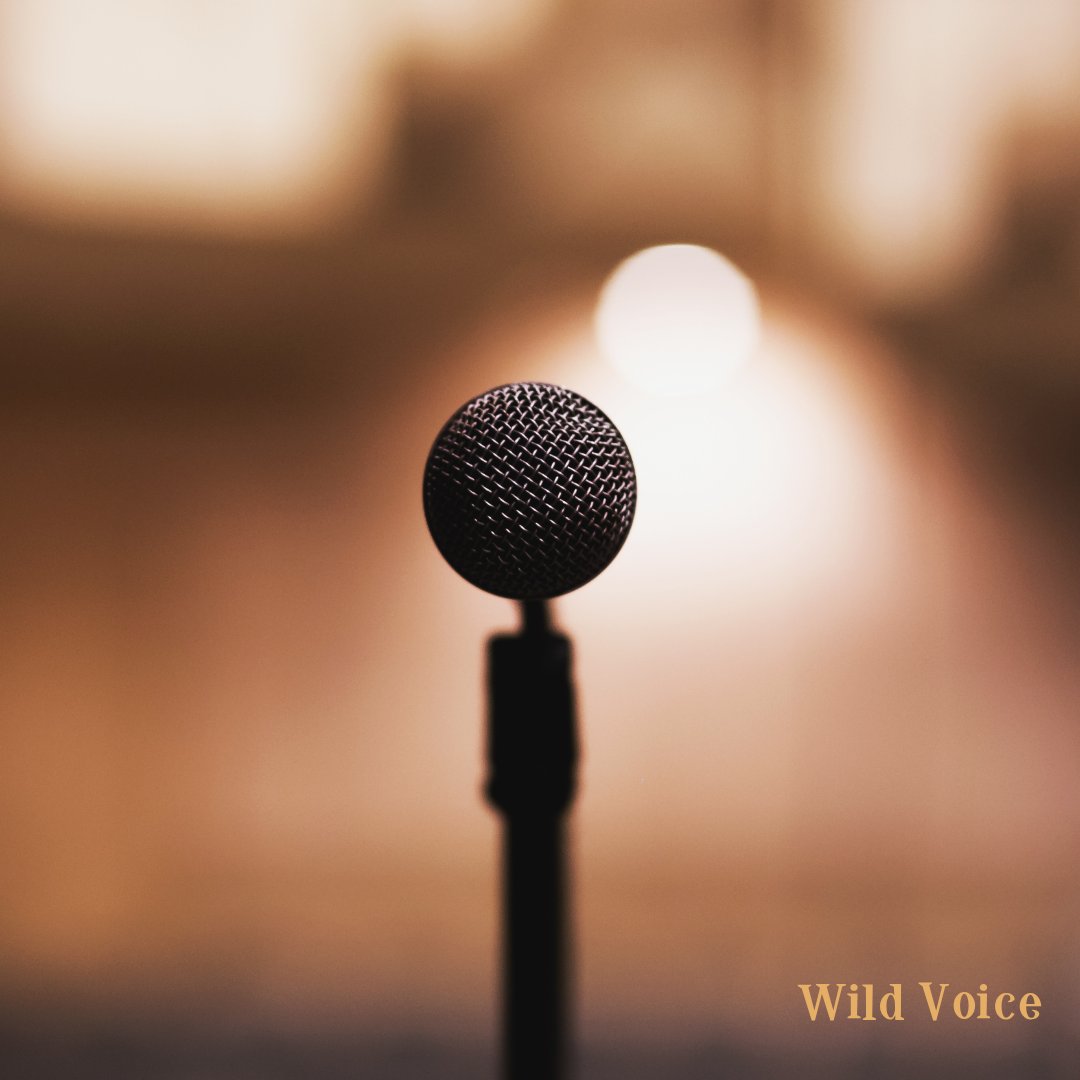 Wild Voice