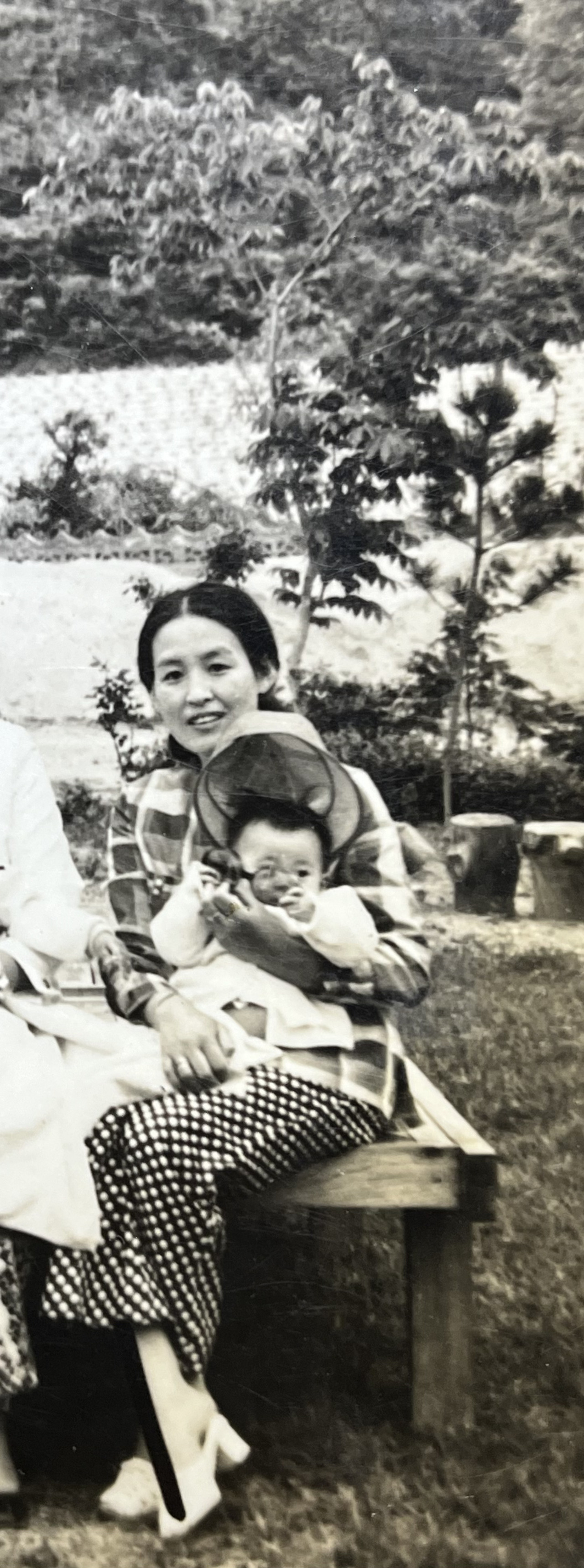 눈굵띠