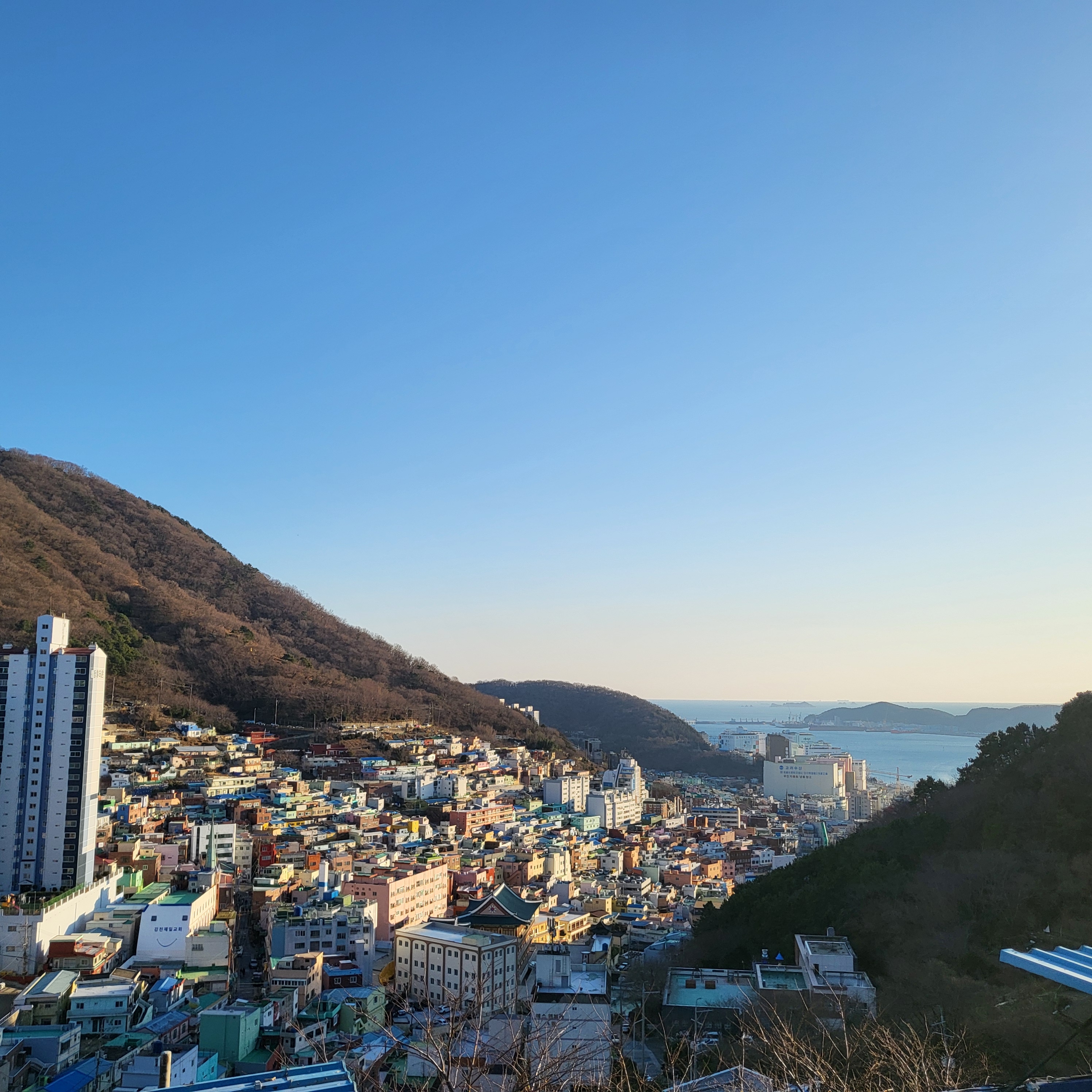 하프클라우드