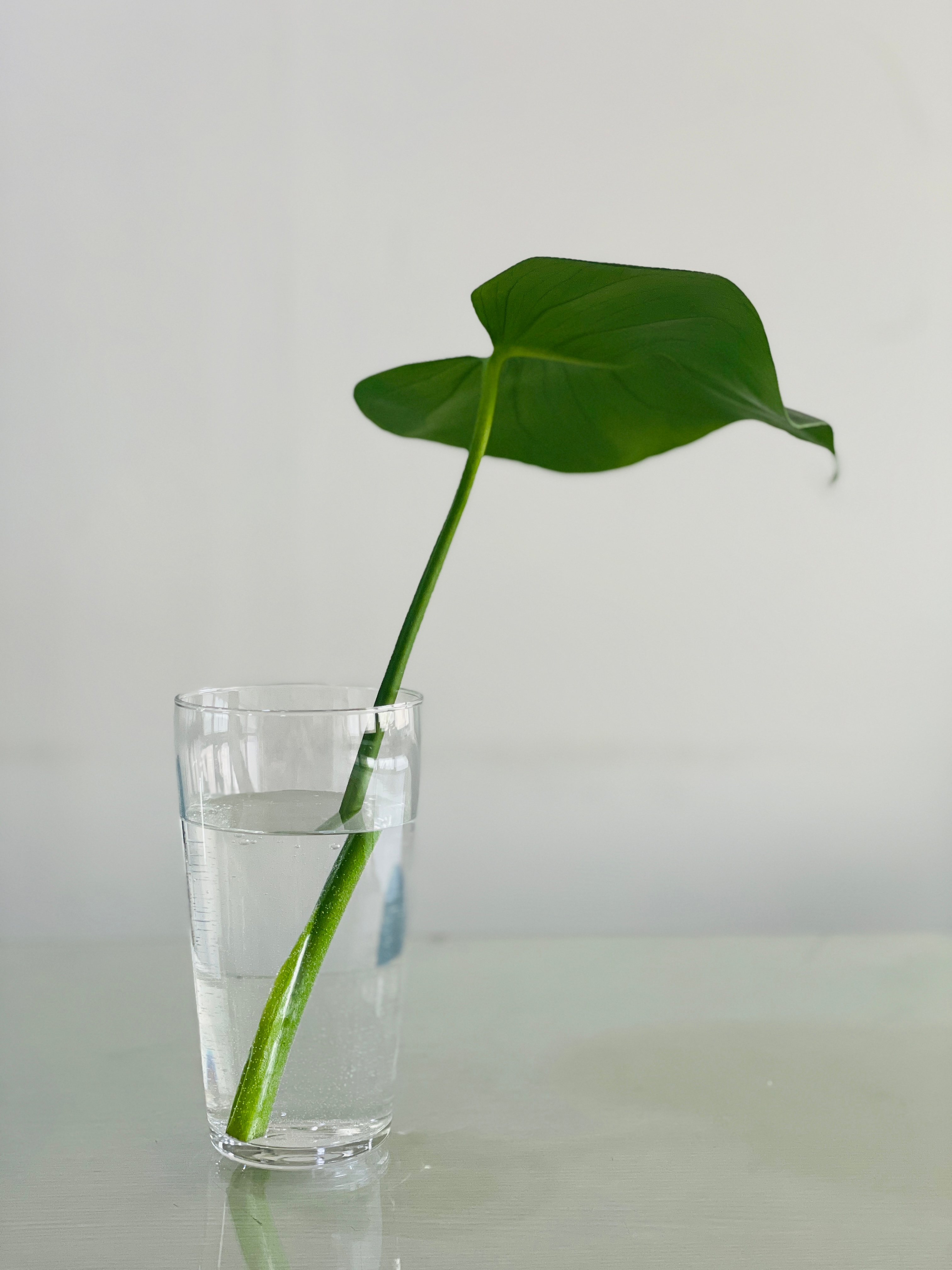 잉잉