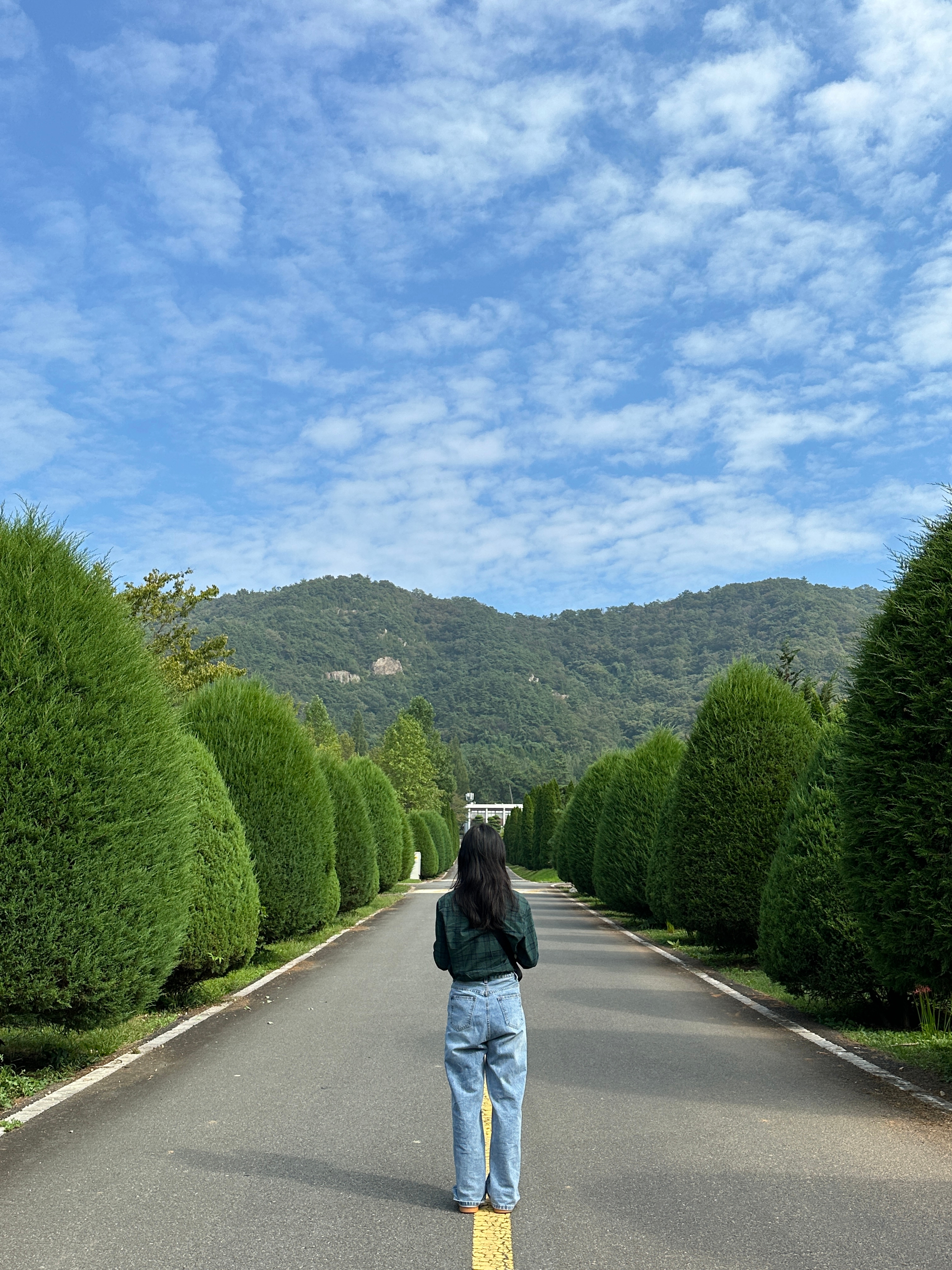 서하의 온도