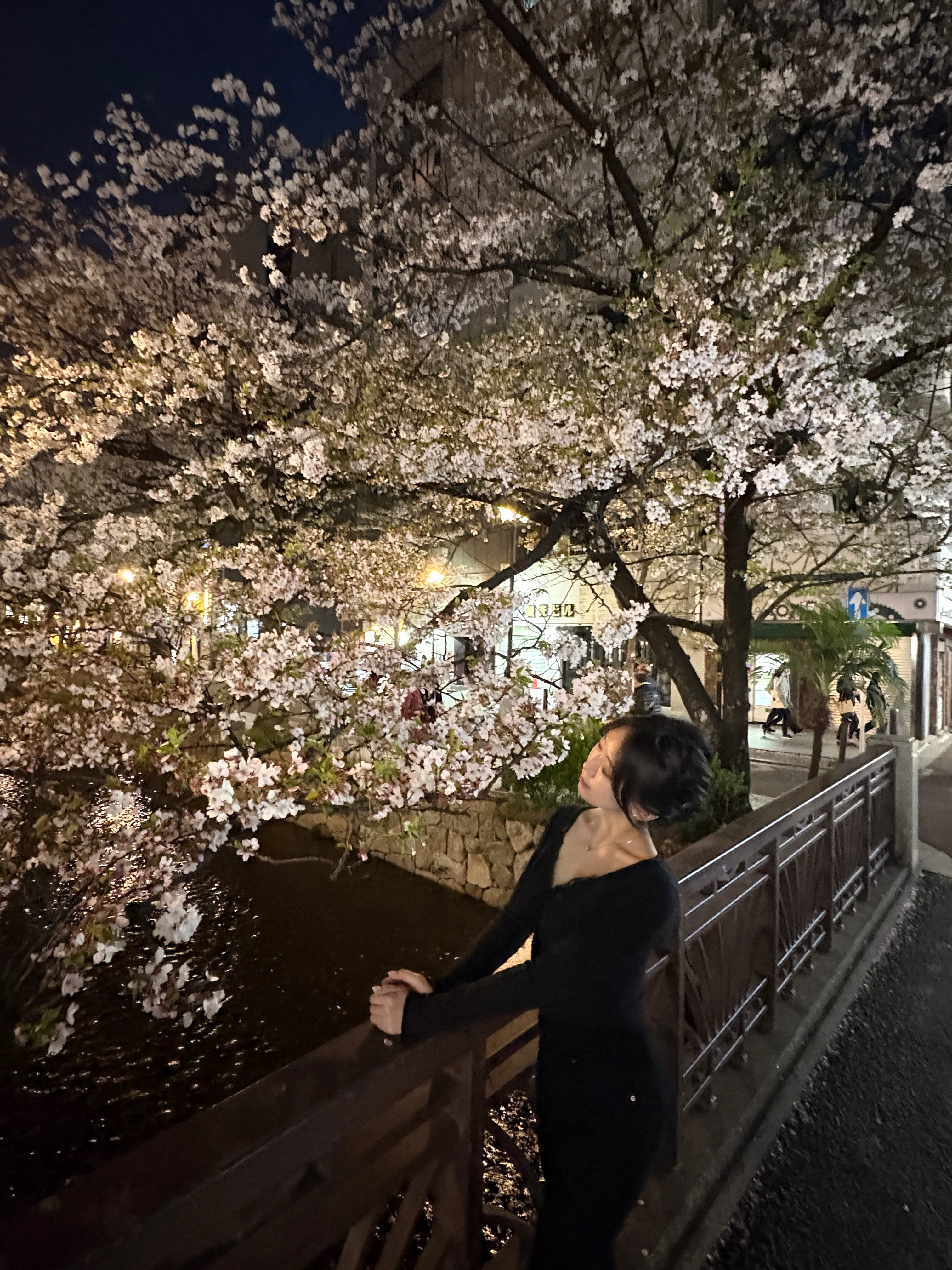 수잔