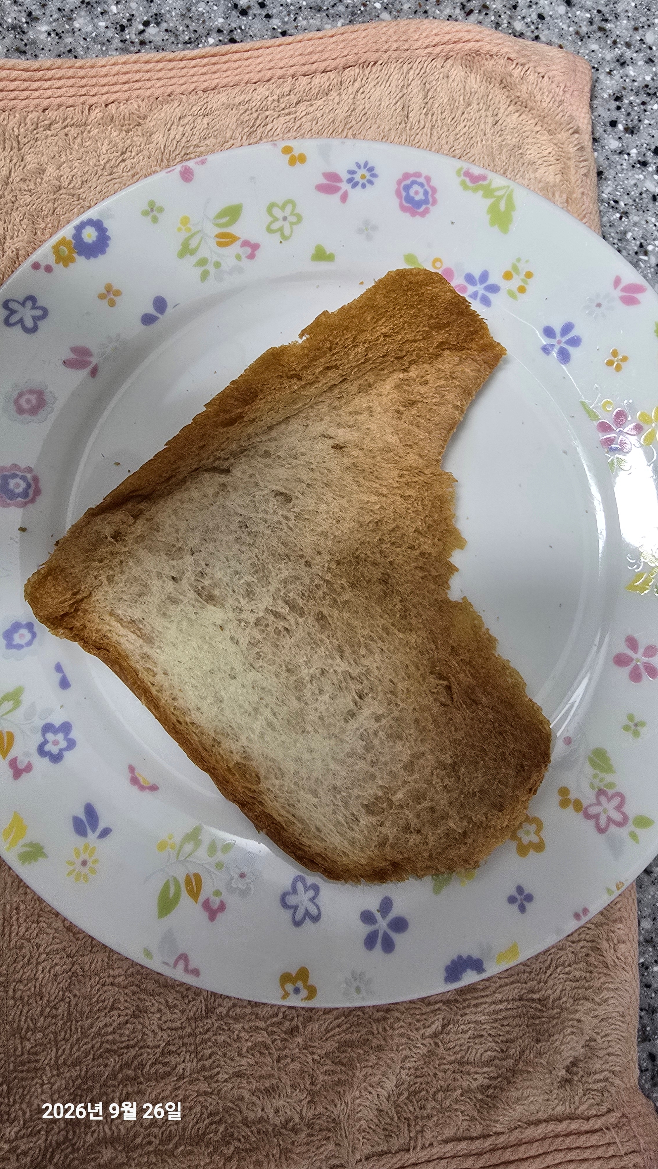 양 초