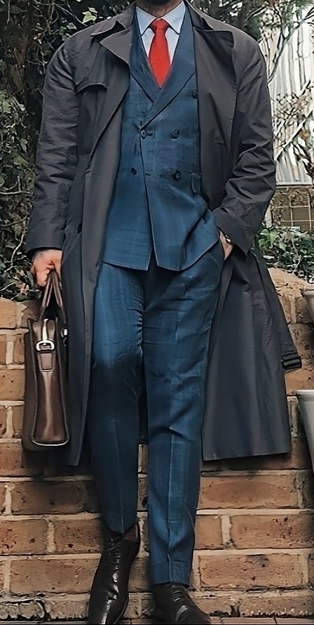 늙은제비