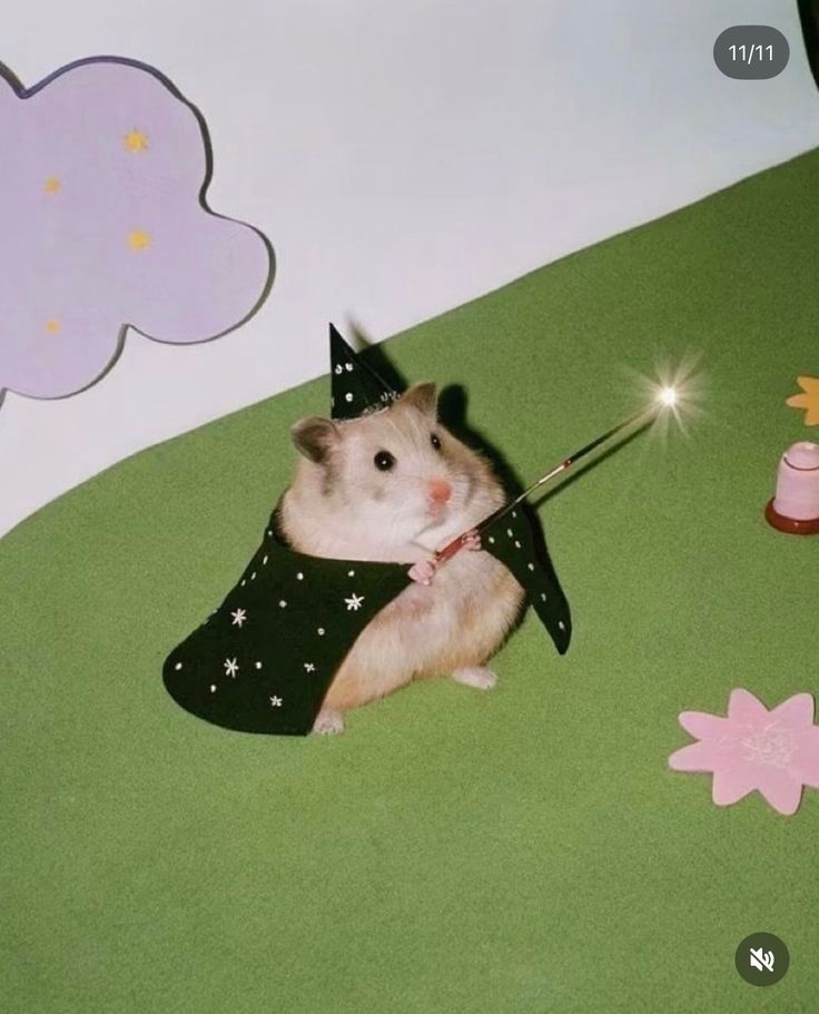 환몽몽