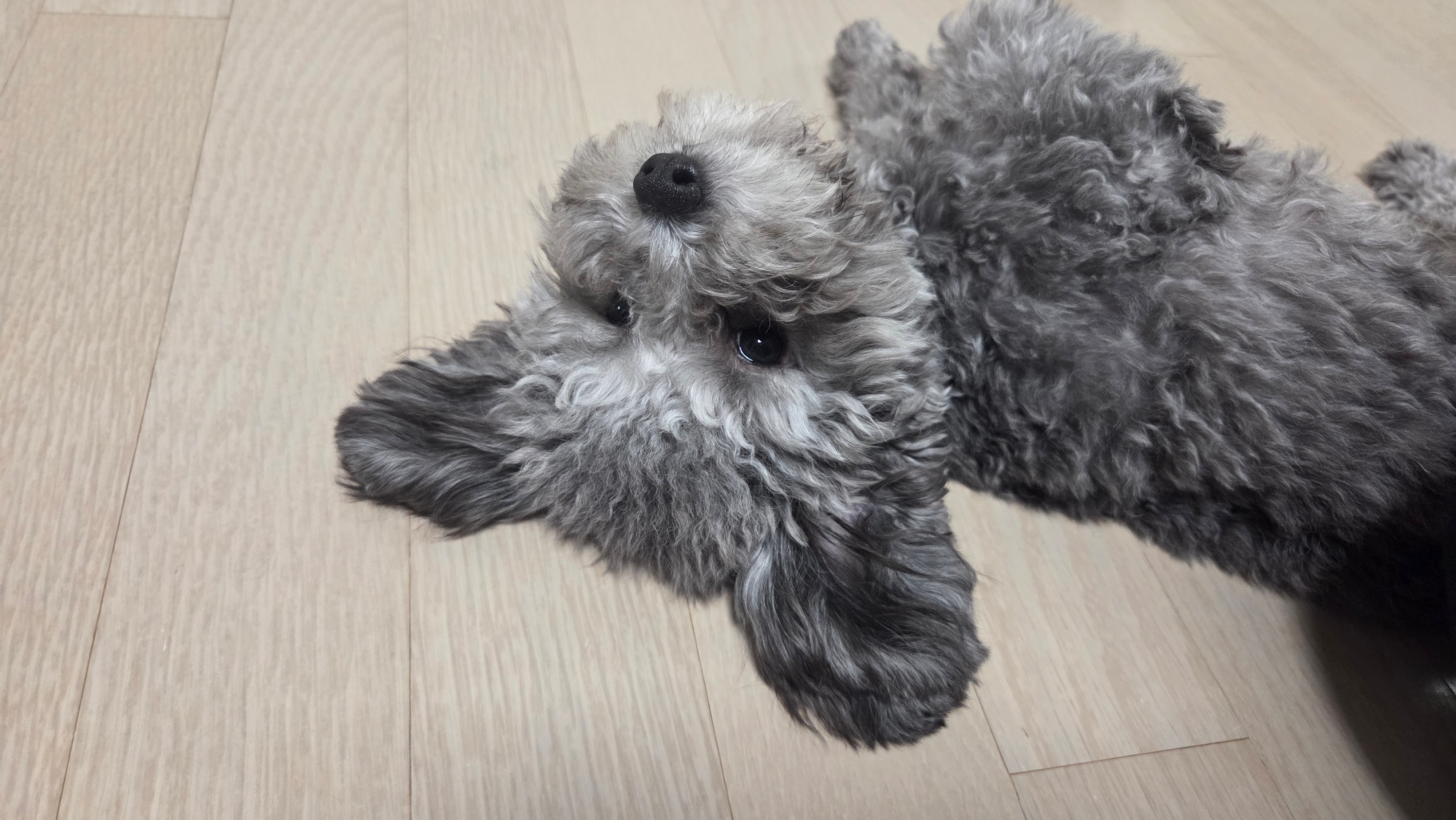 뭉치어멈