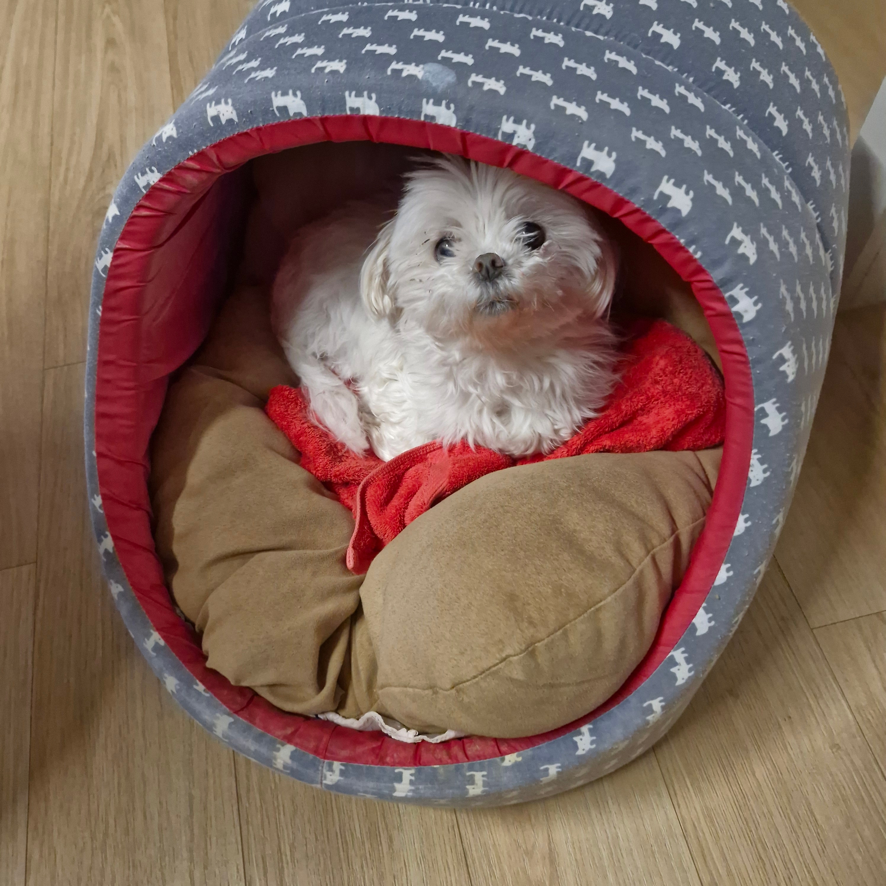 우영빈