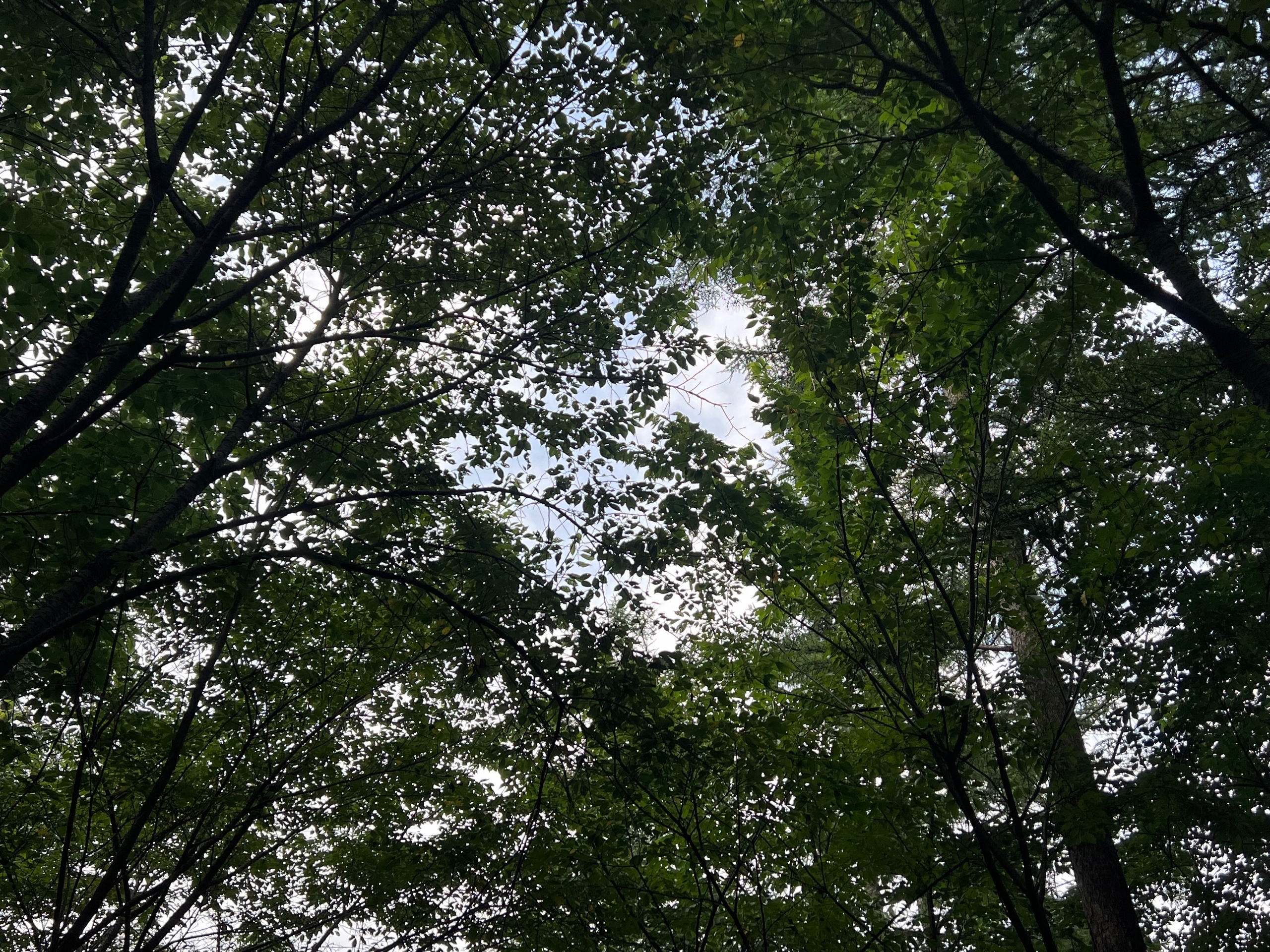 온결