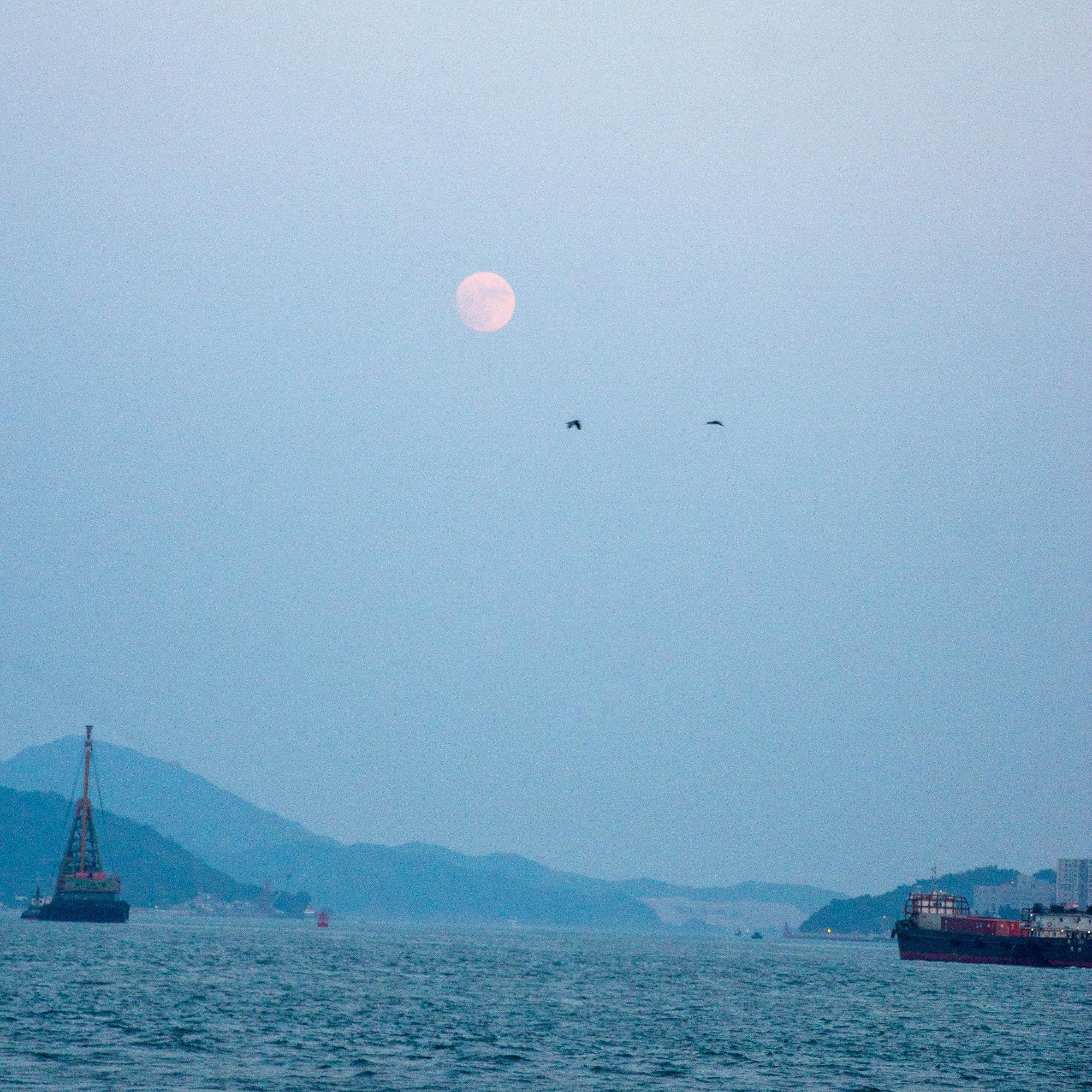 달과 바다