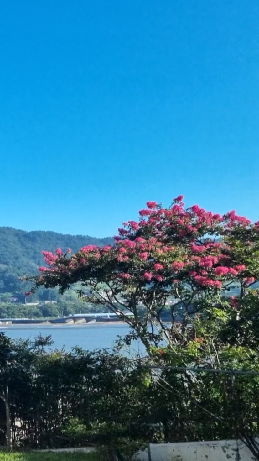 정의숙