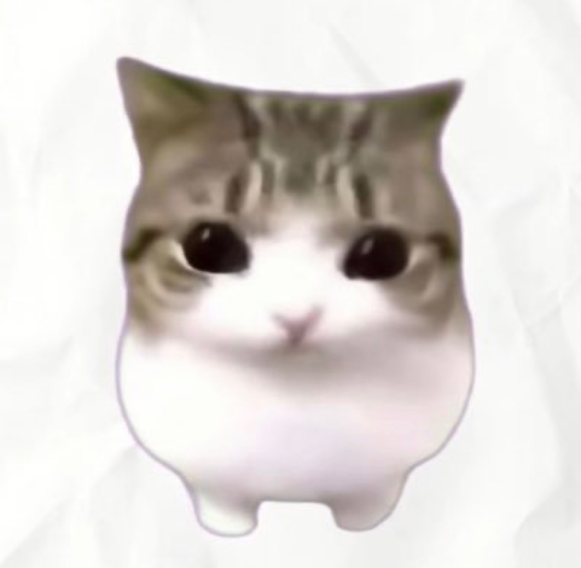 루비푸딩