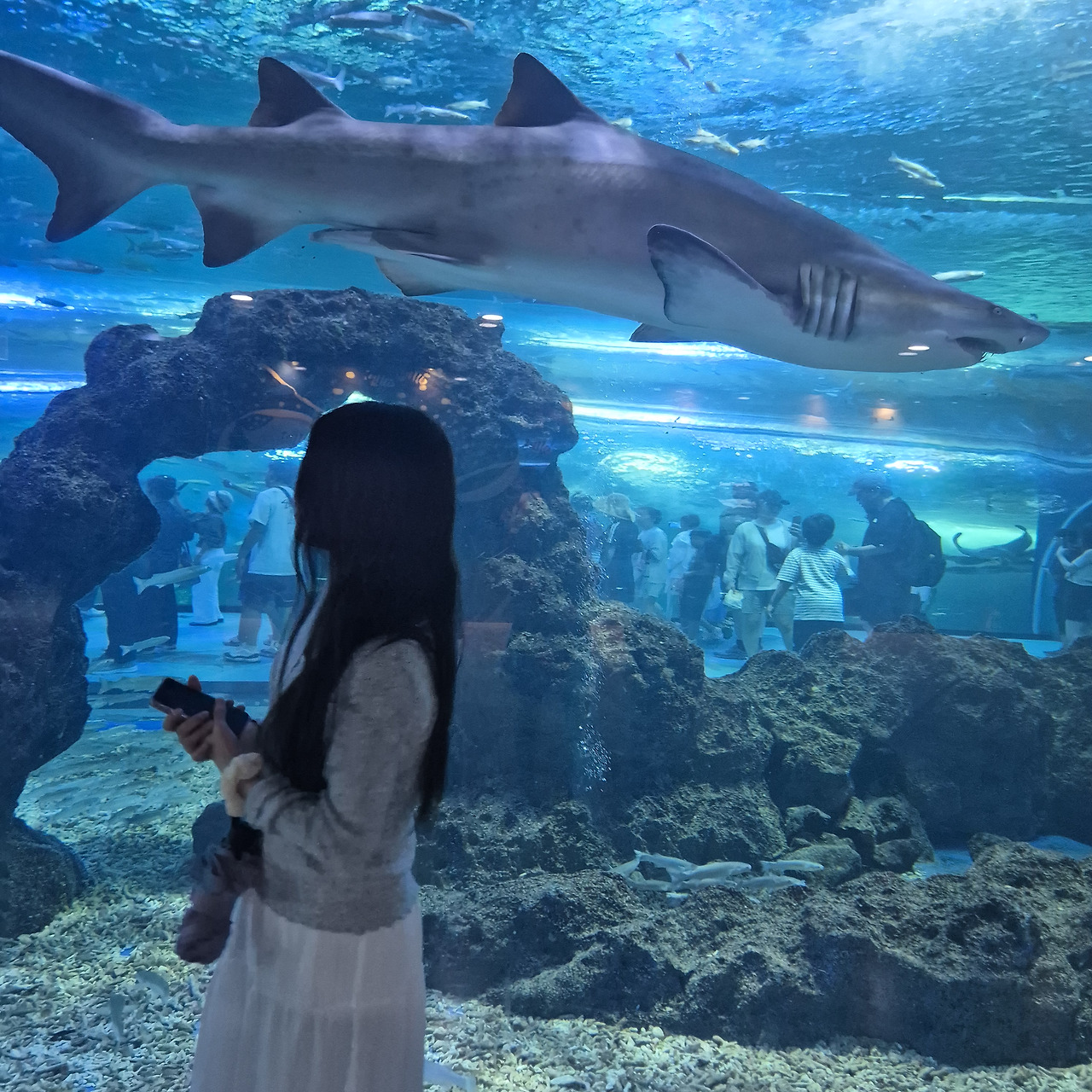최수현