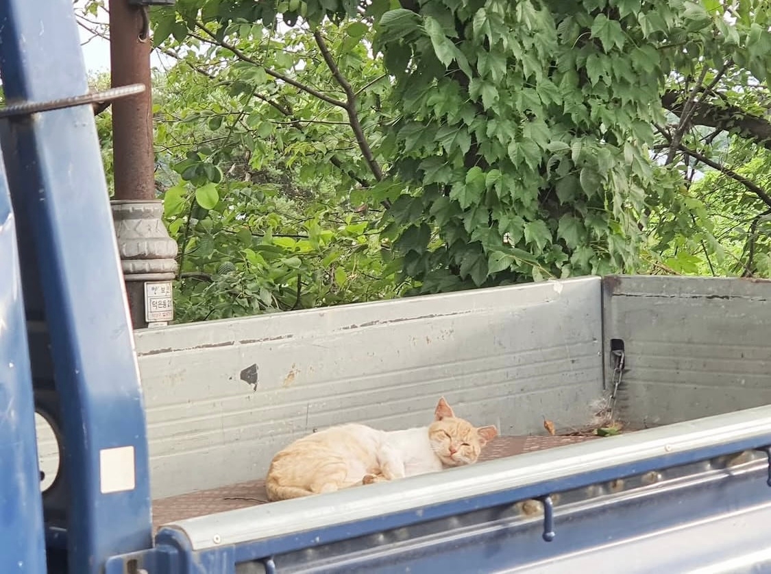 오후