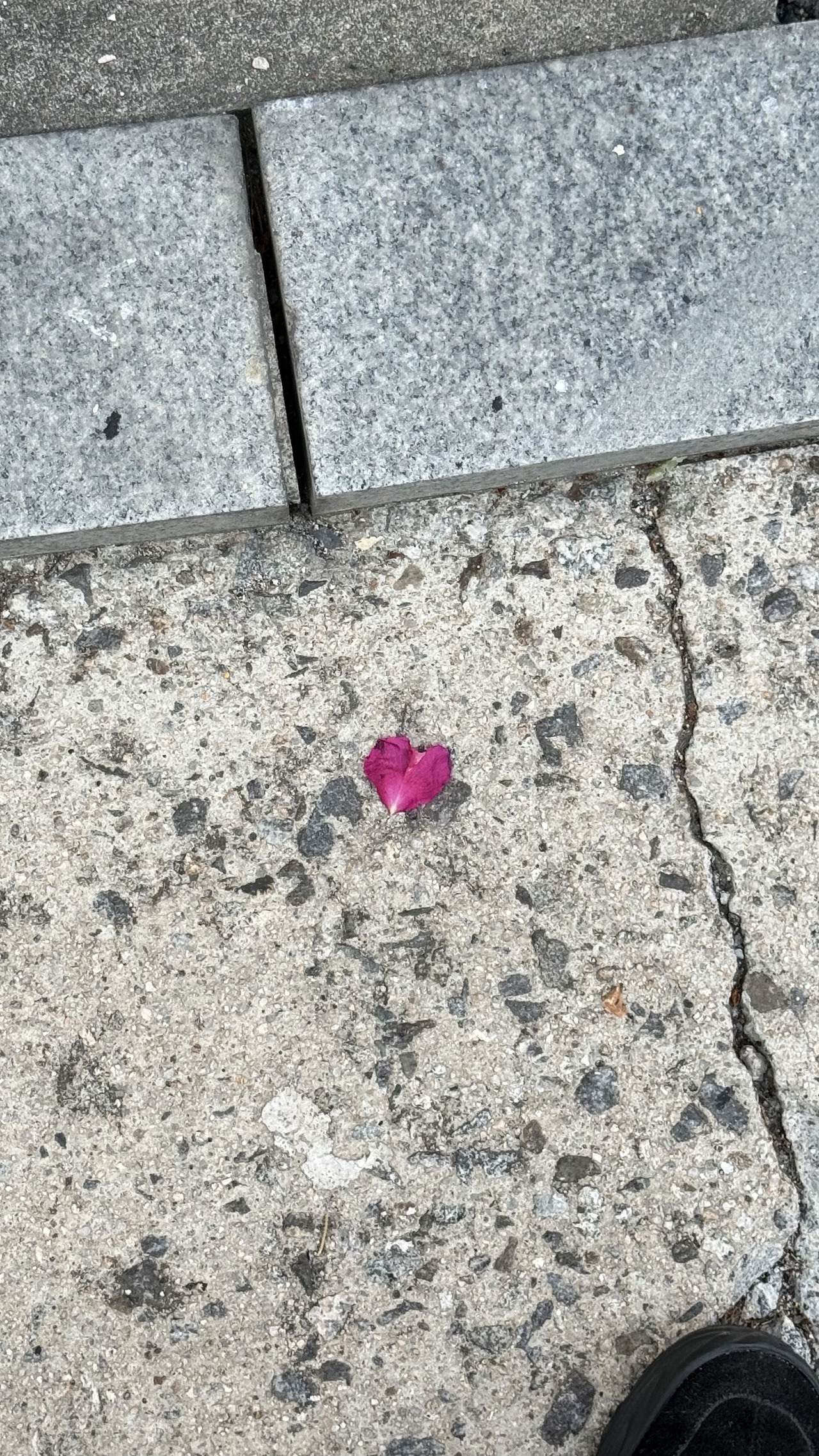 이지원