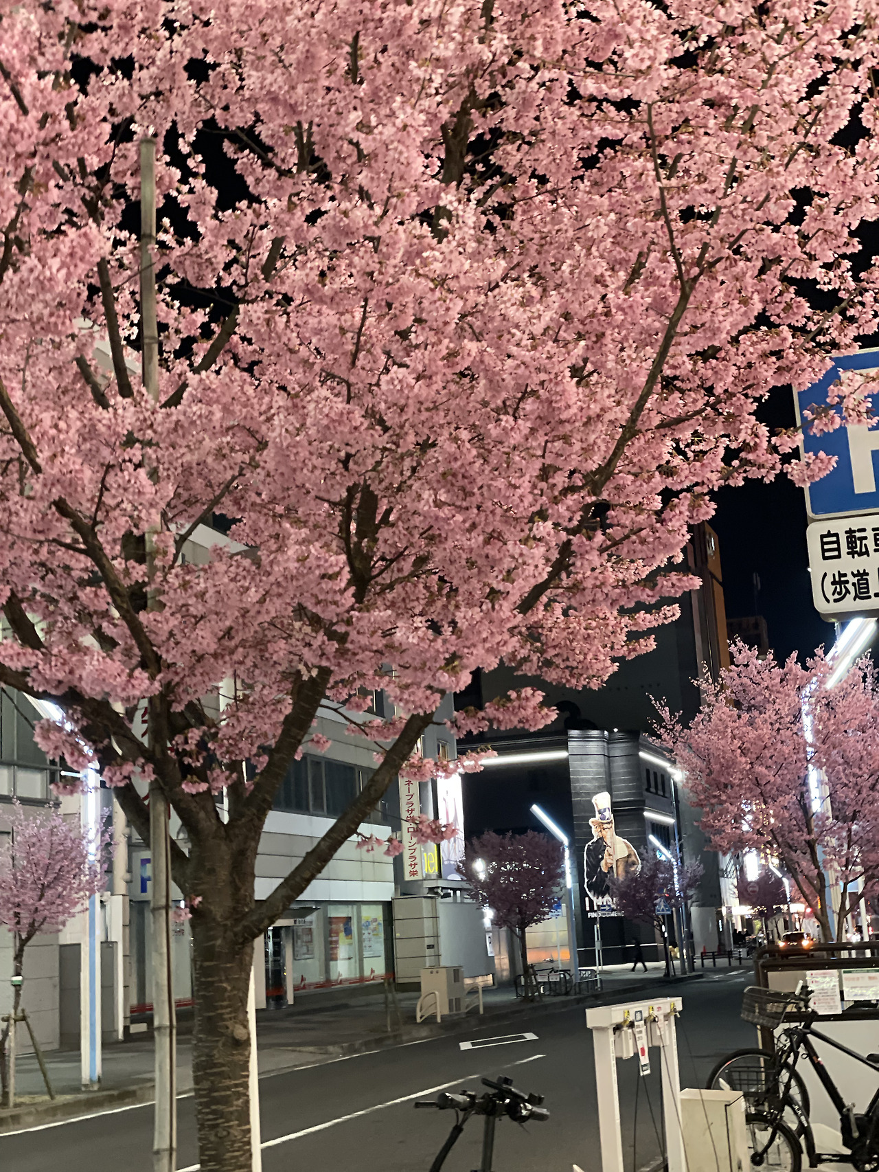 봄꽃Min