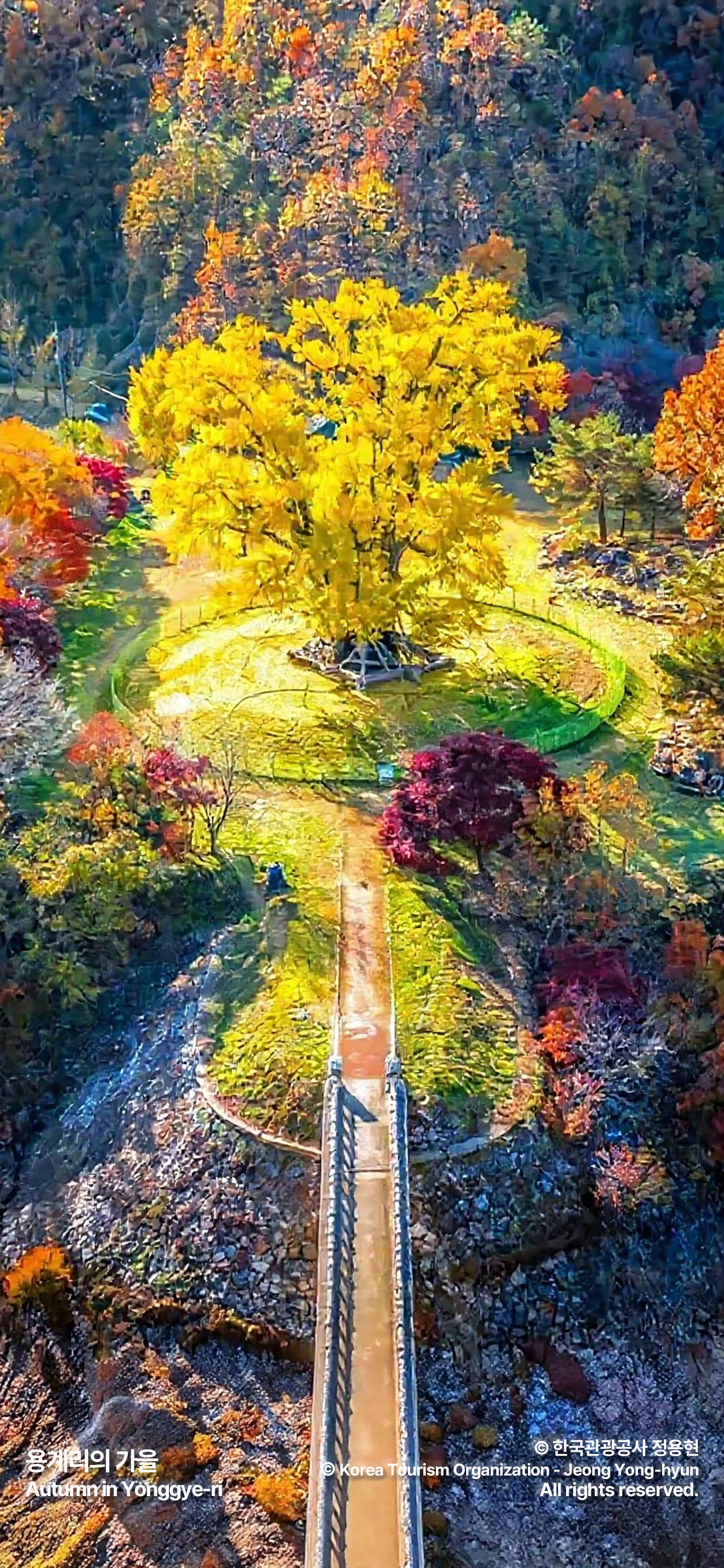 인보