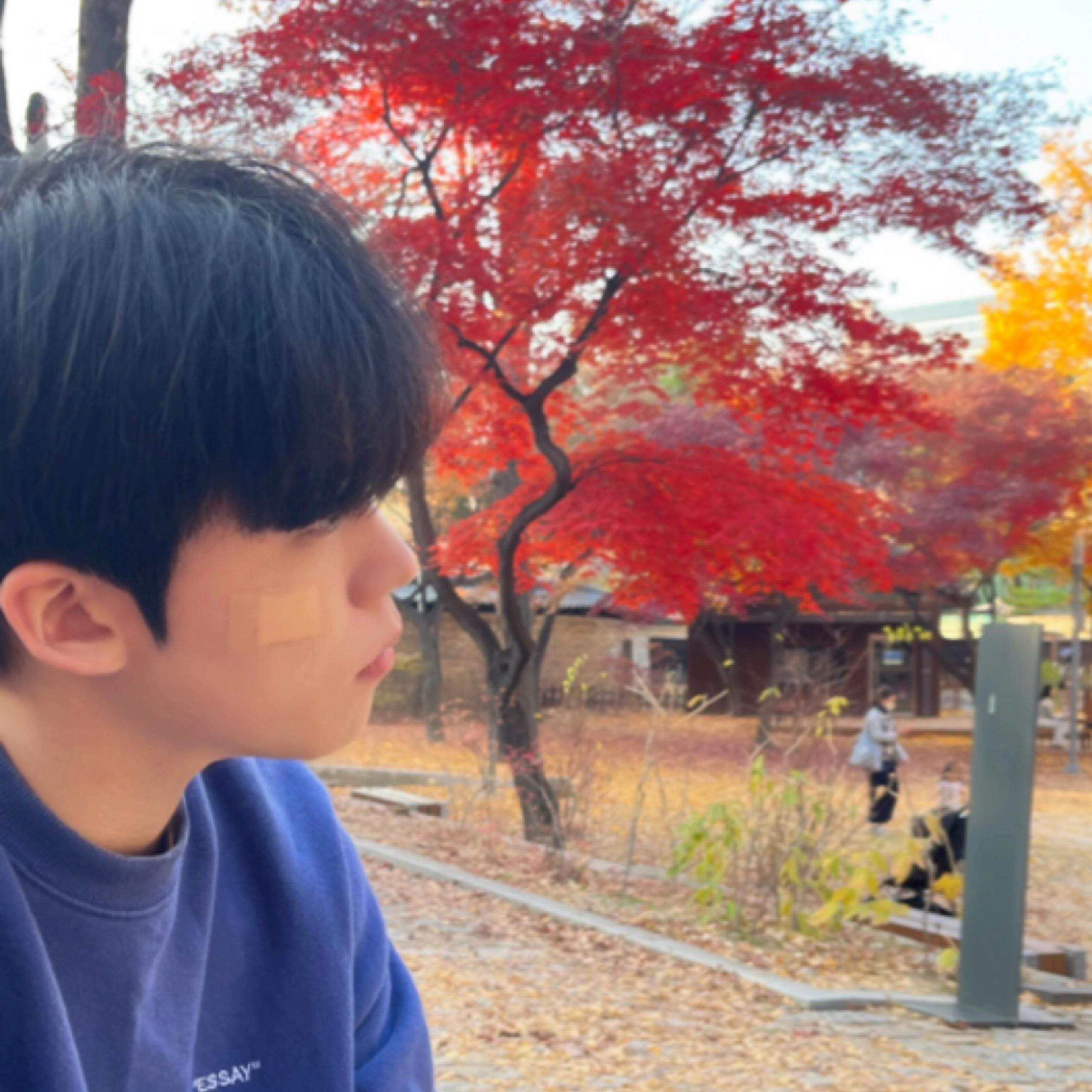 용콩