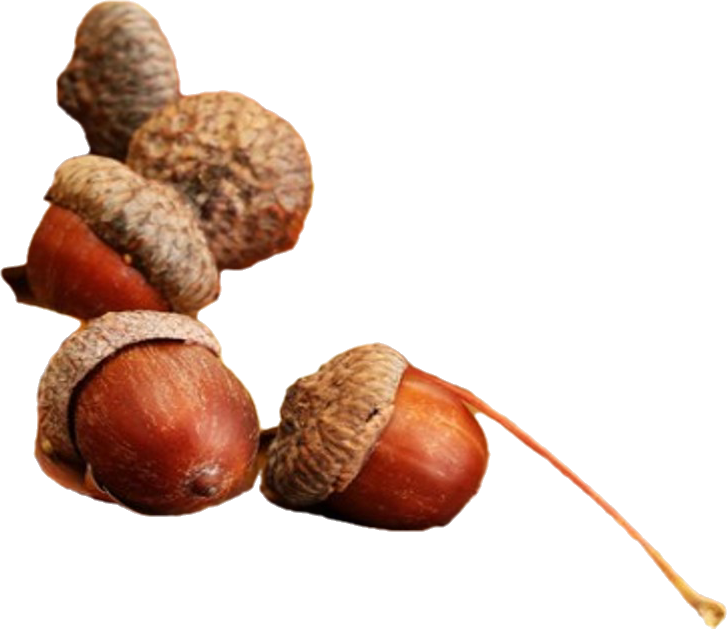 잔잔