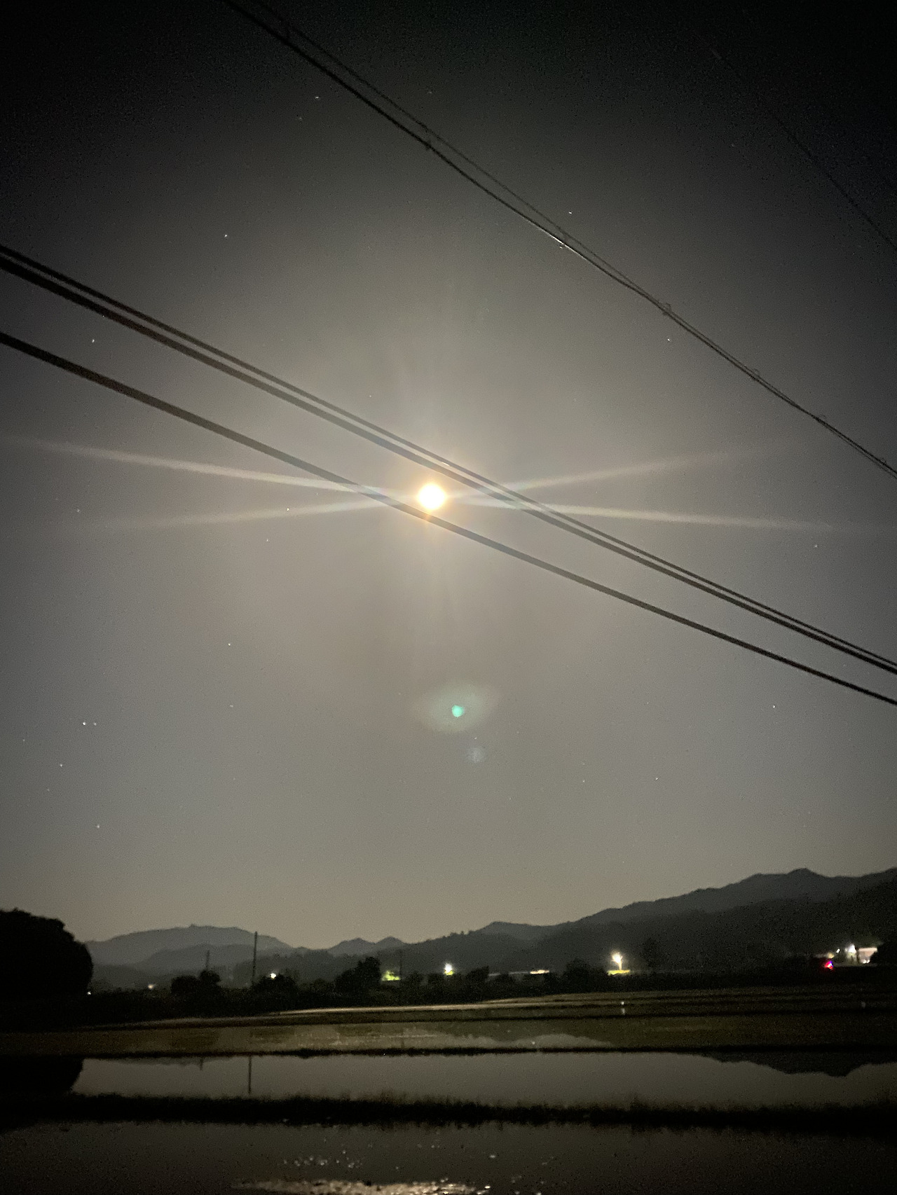 정발산