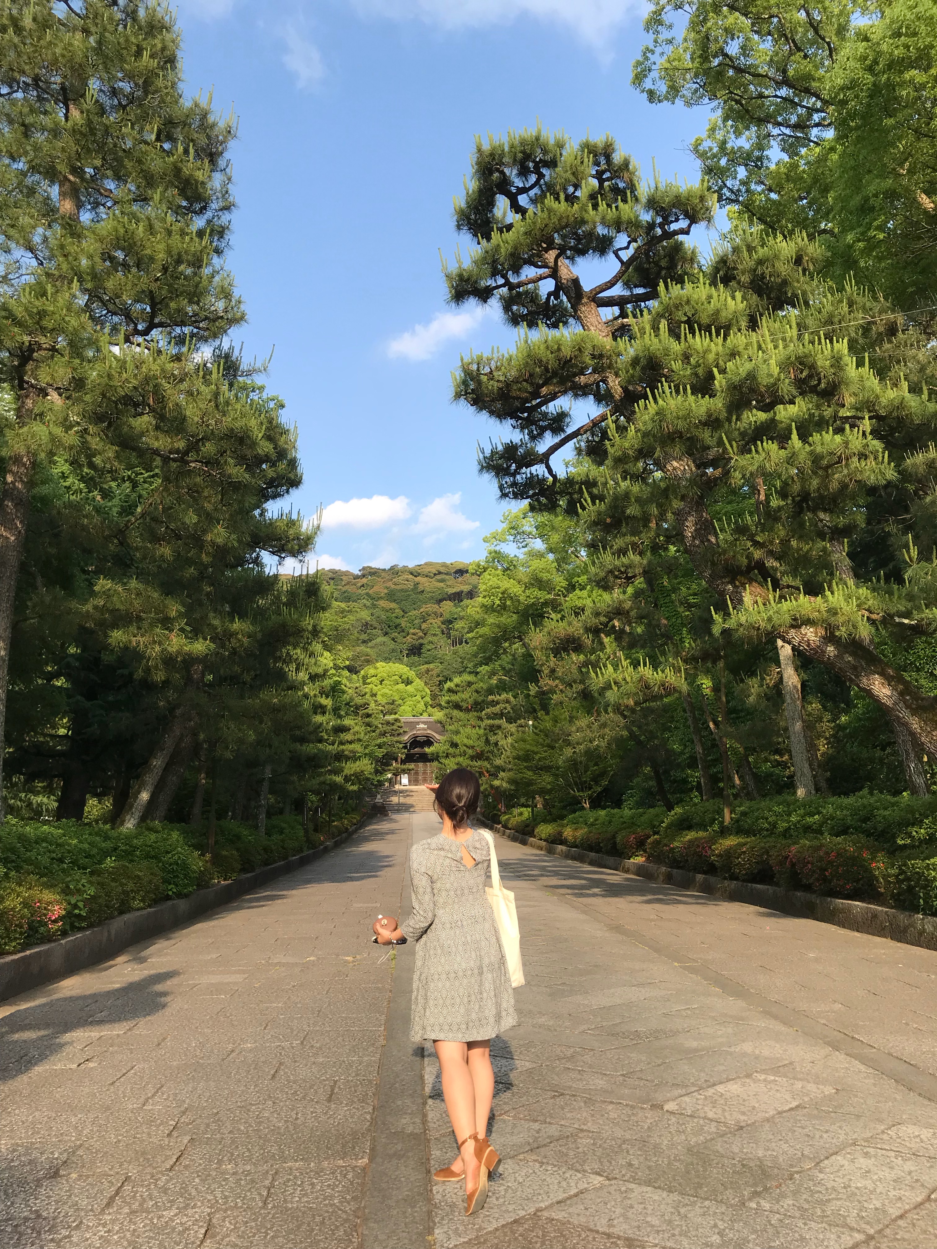 달토끼