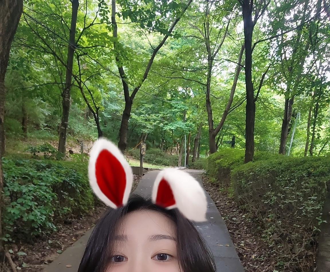 한솔