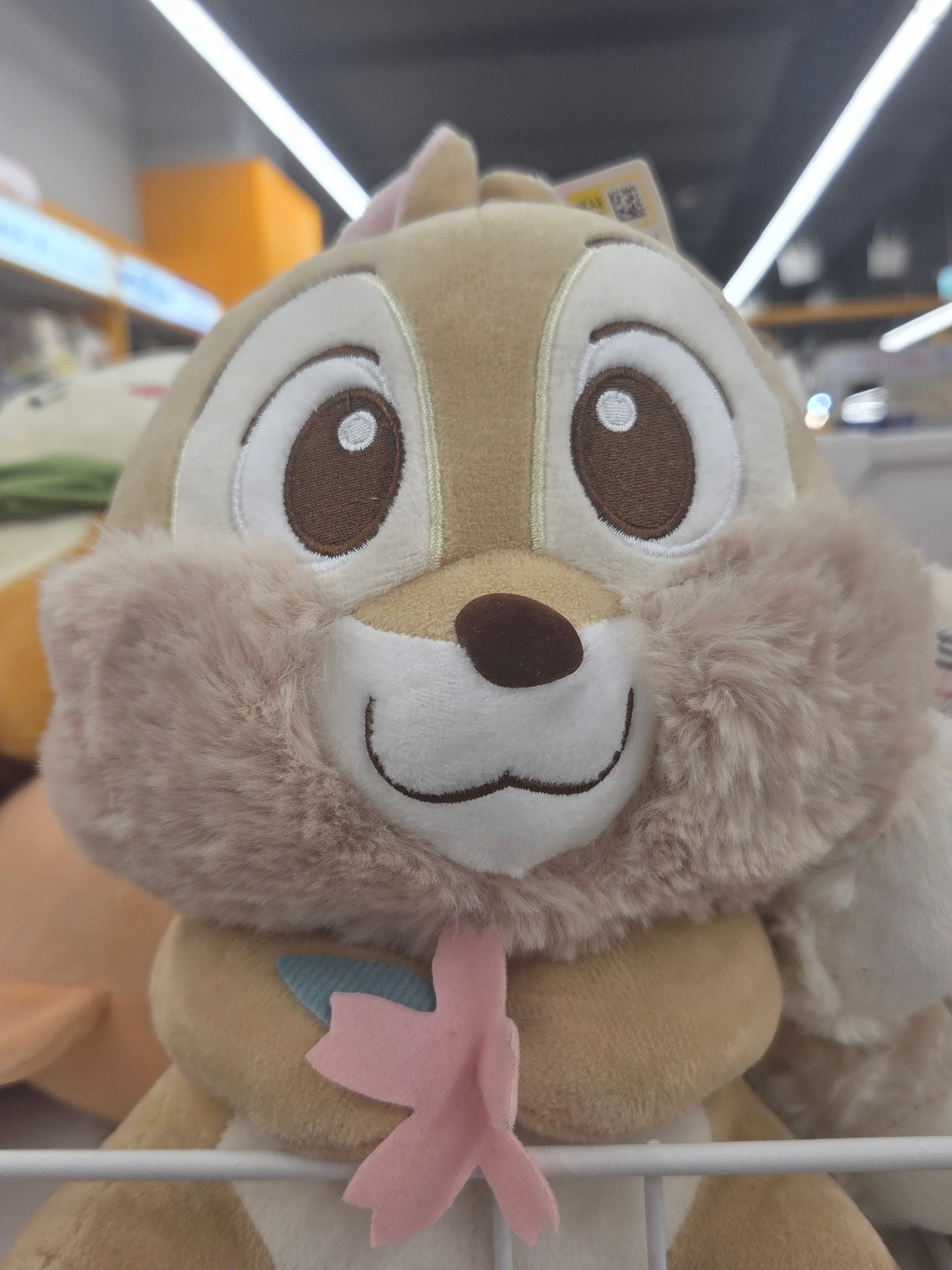 장서연