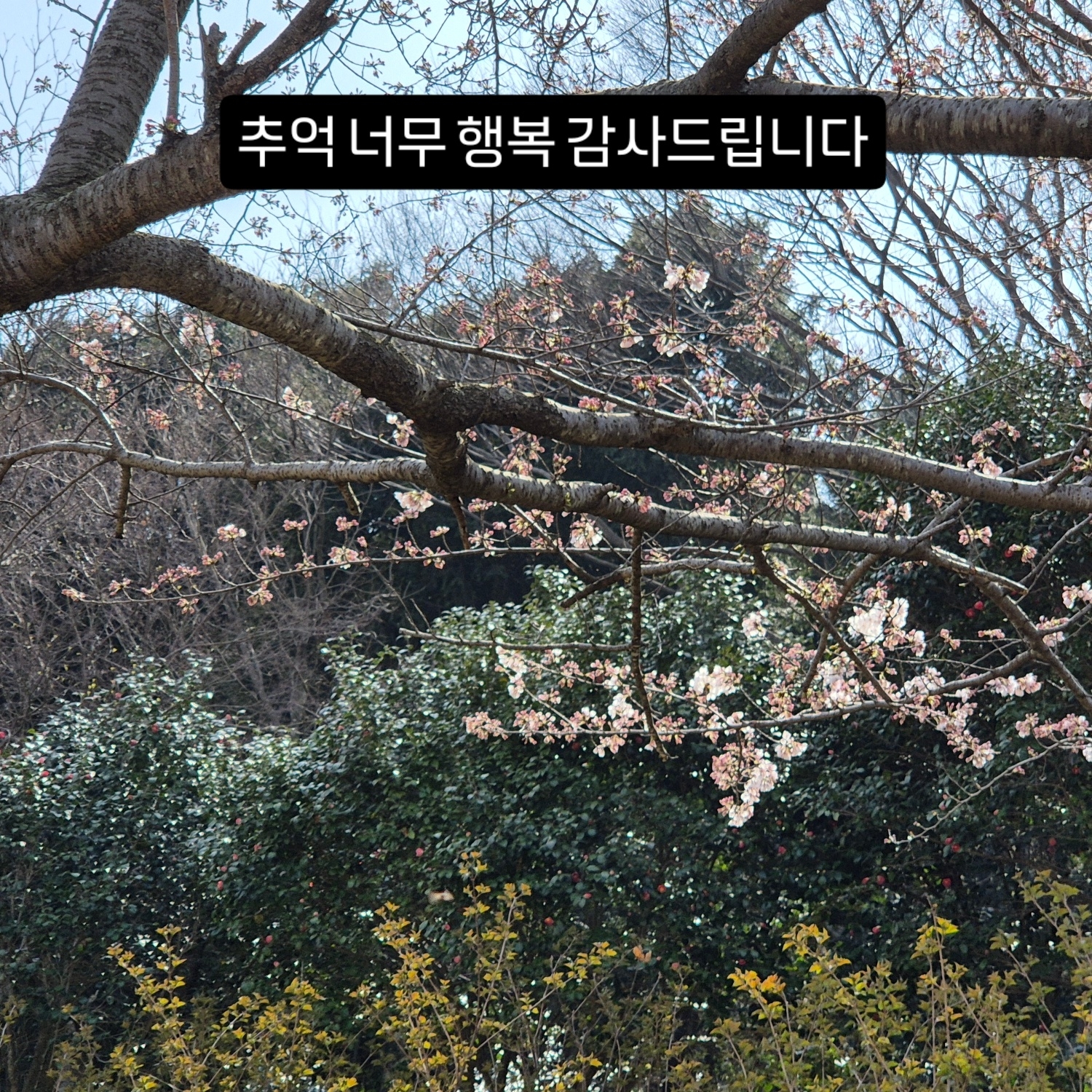성용