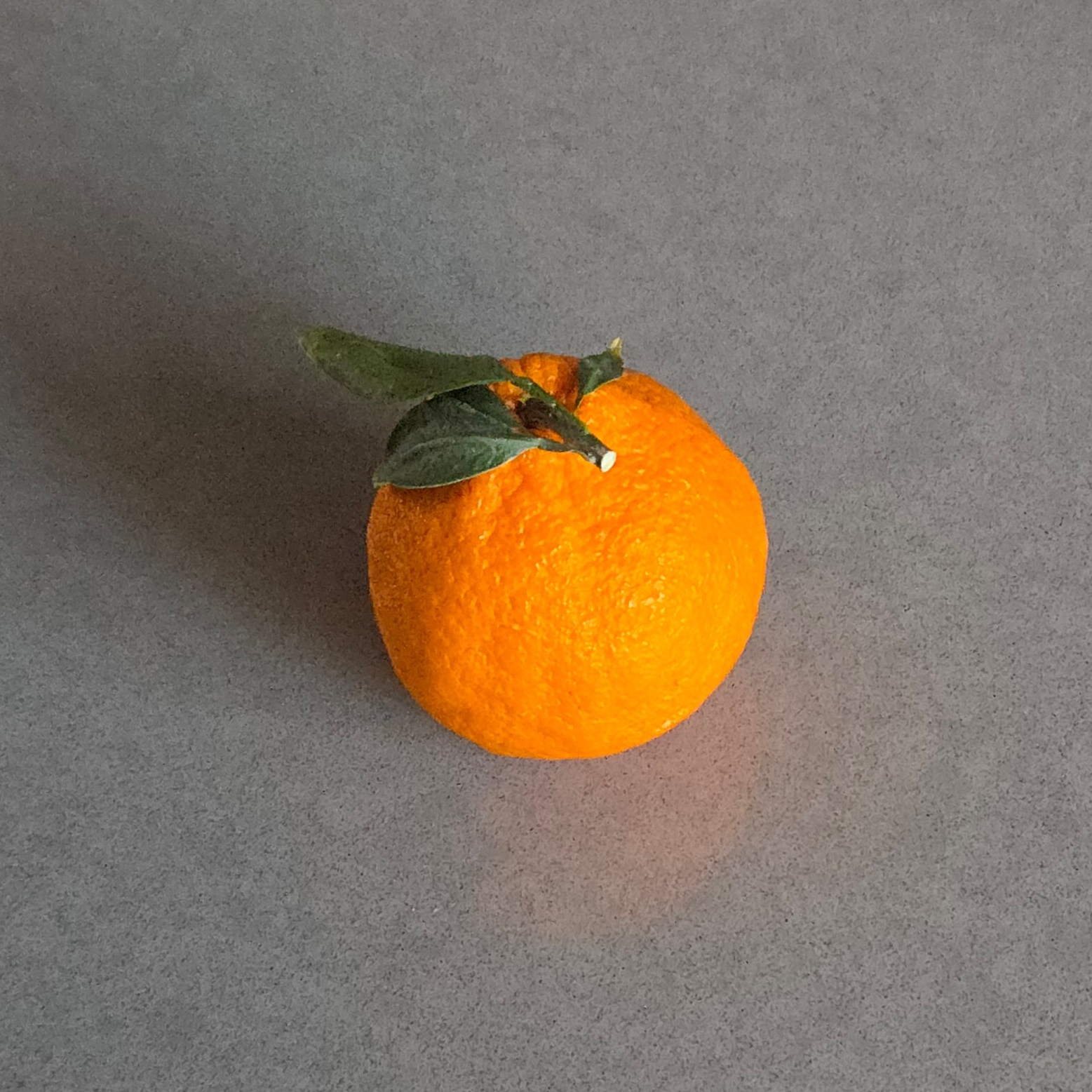 정지호