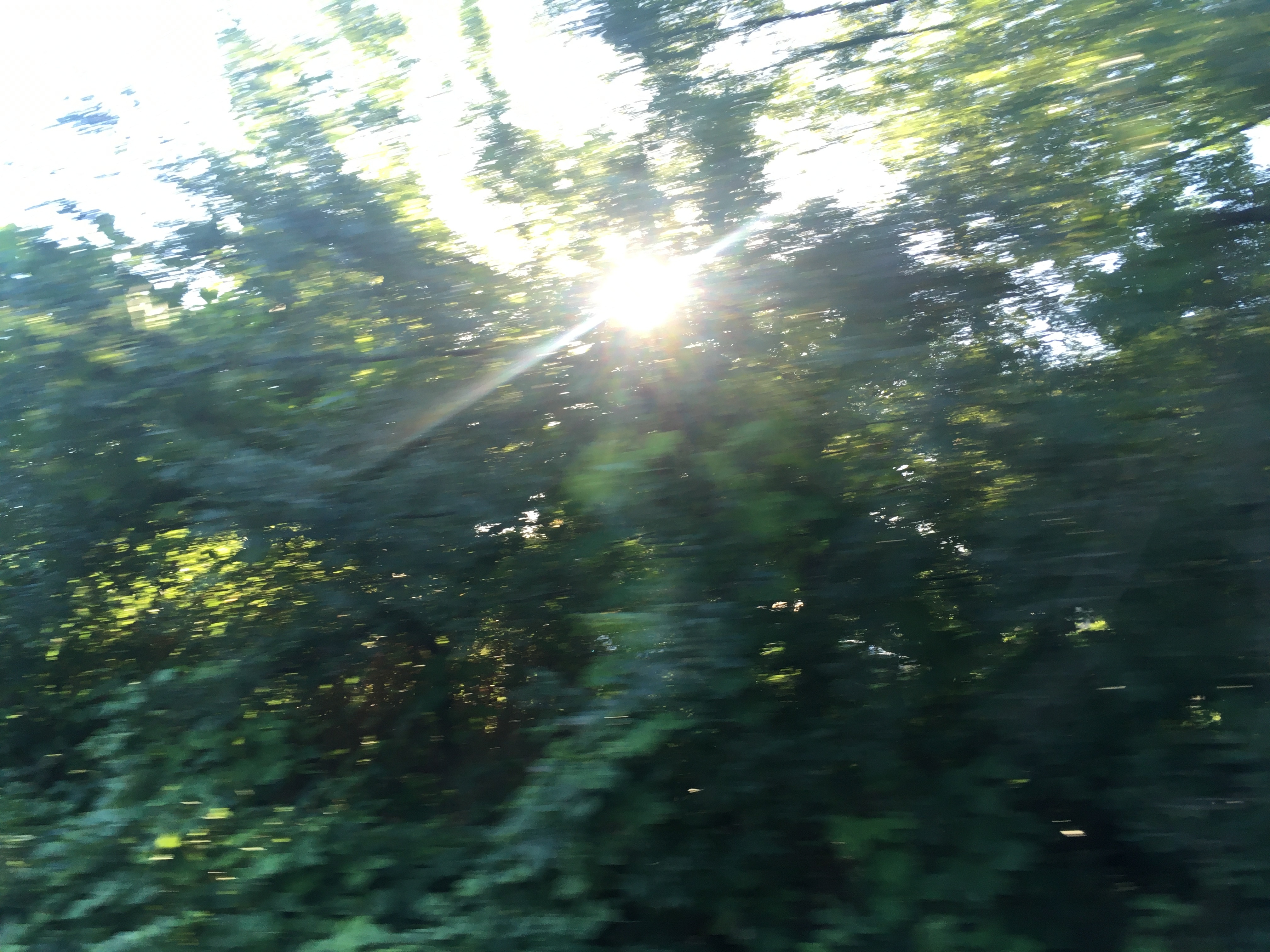 나무랑바람