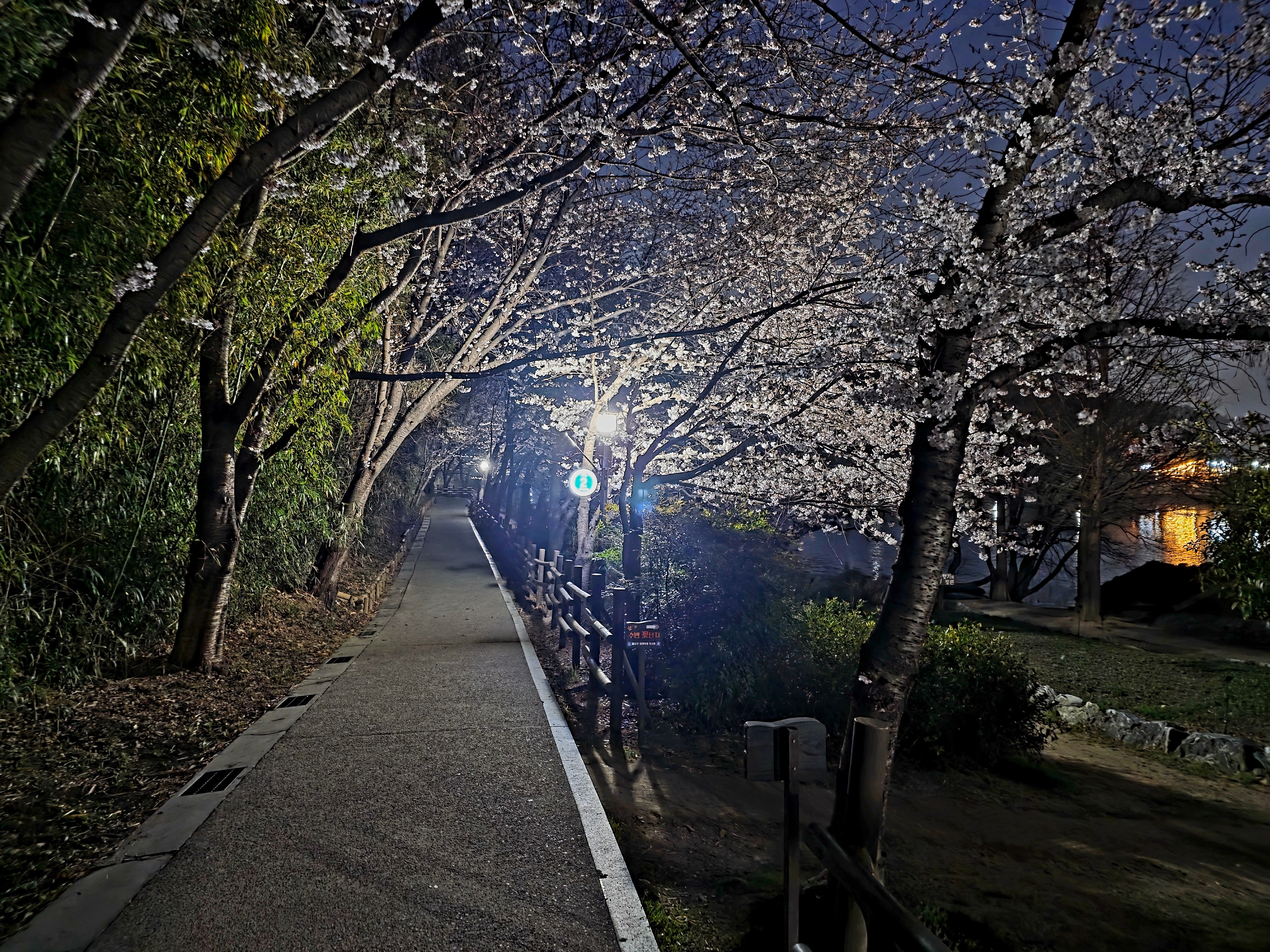 해피해피해피데이