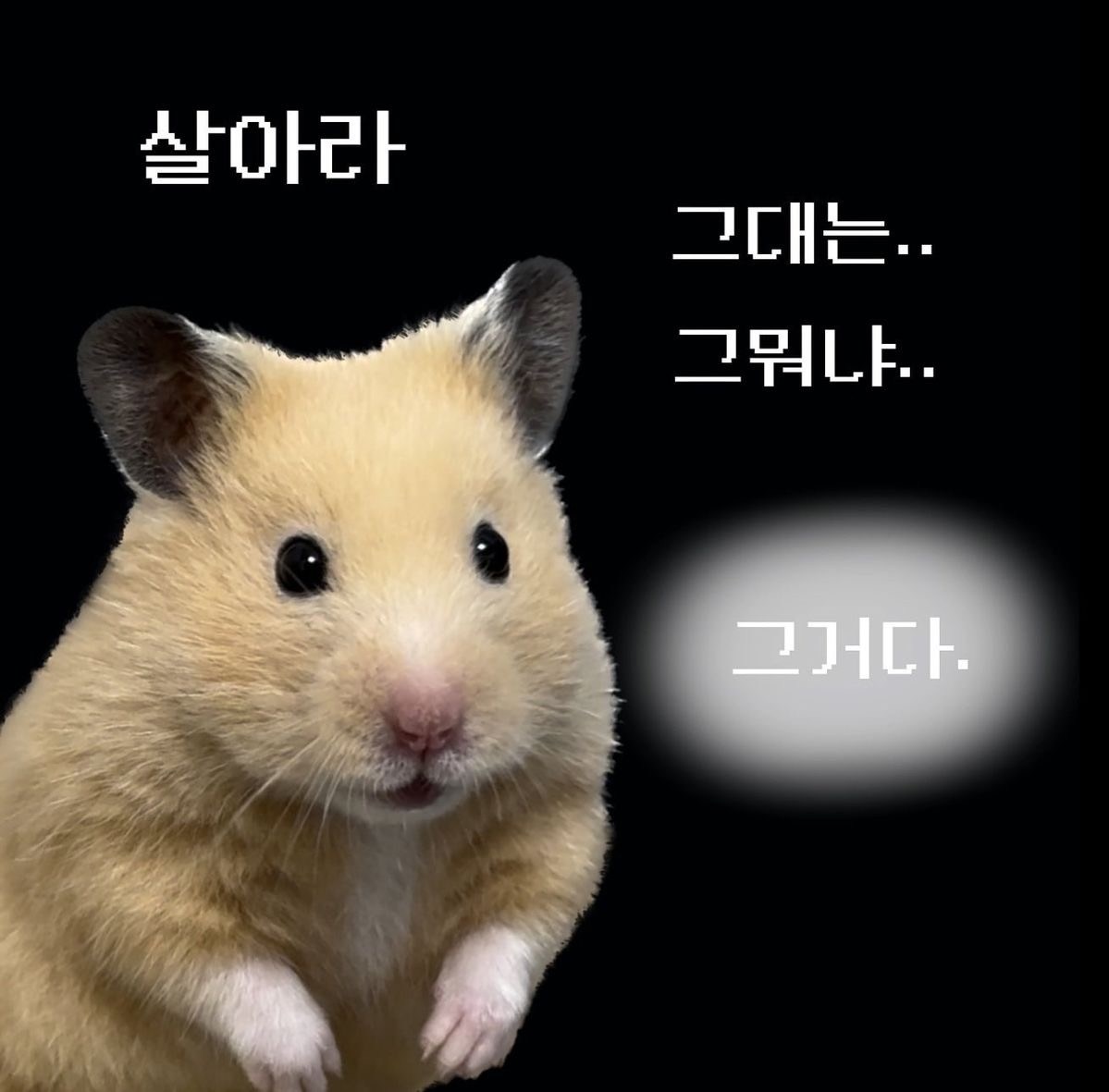 민둥