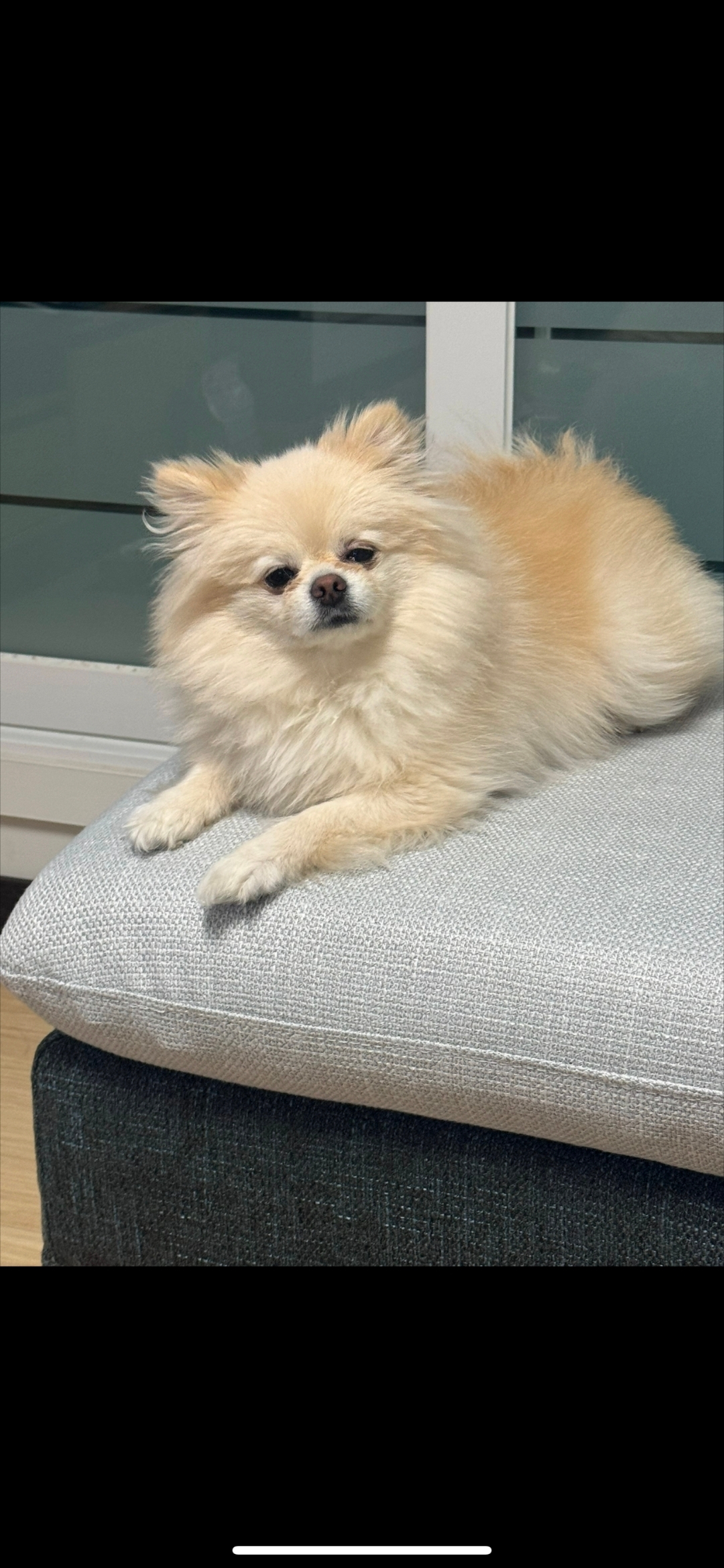 희주