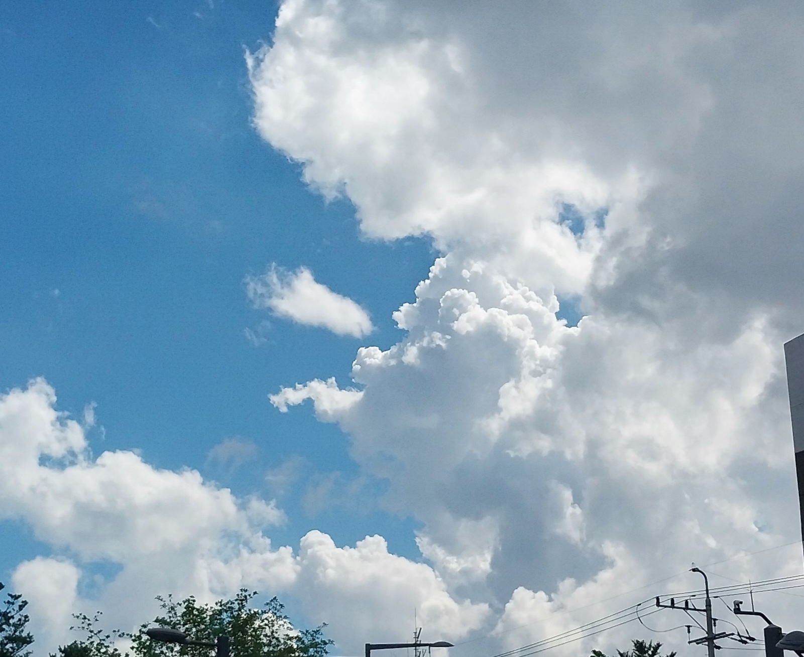 김독자