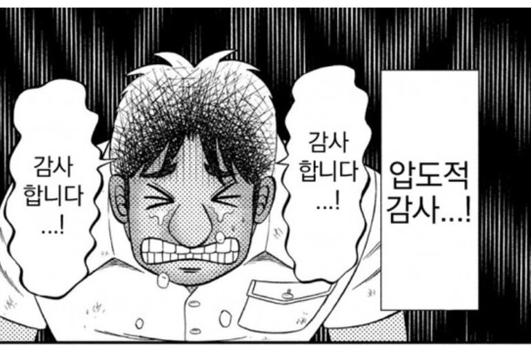 llama정