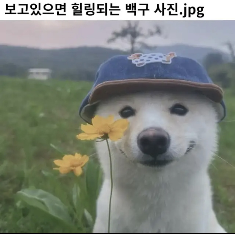 심플하게 살기