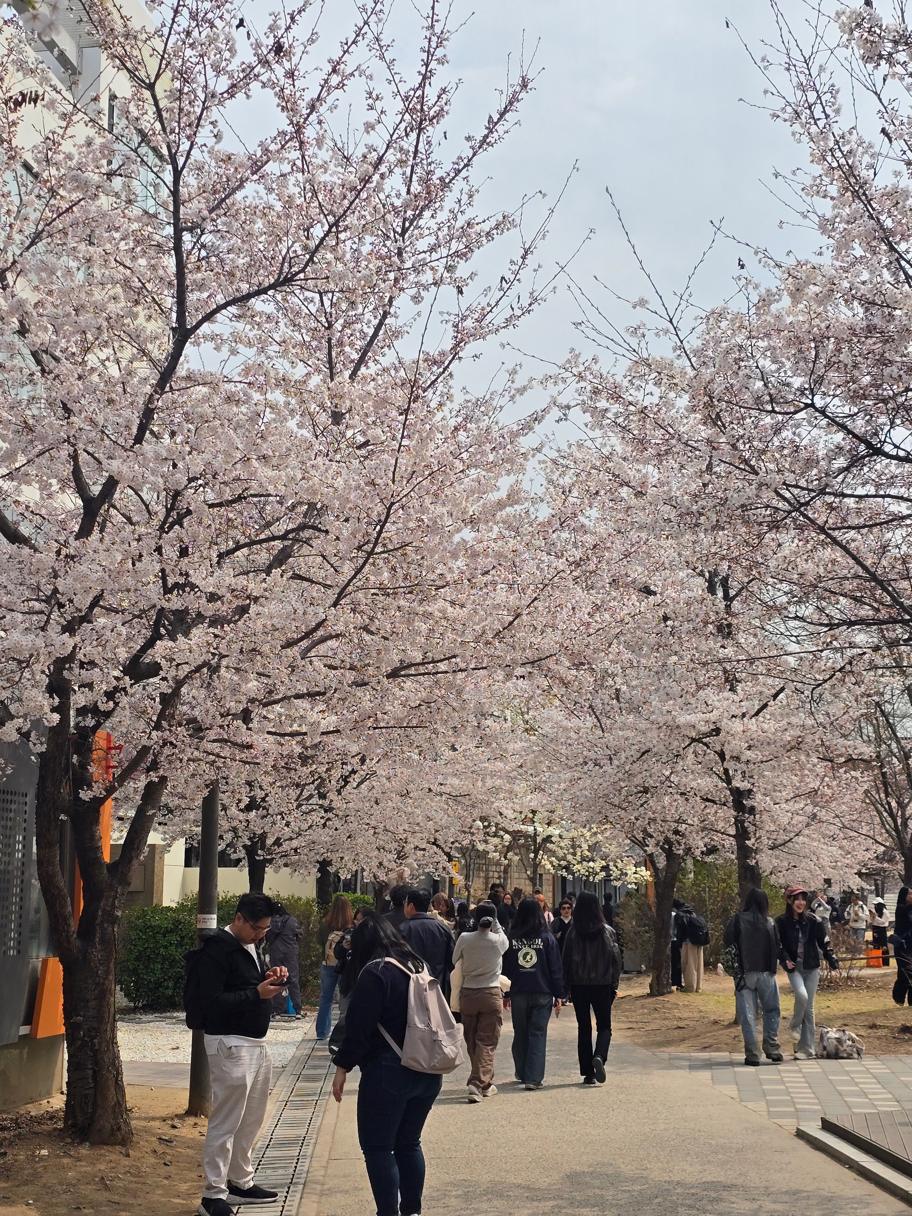 반크리스