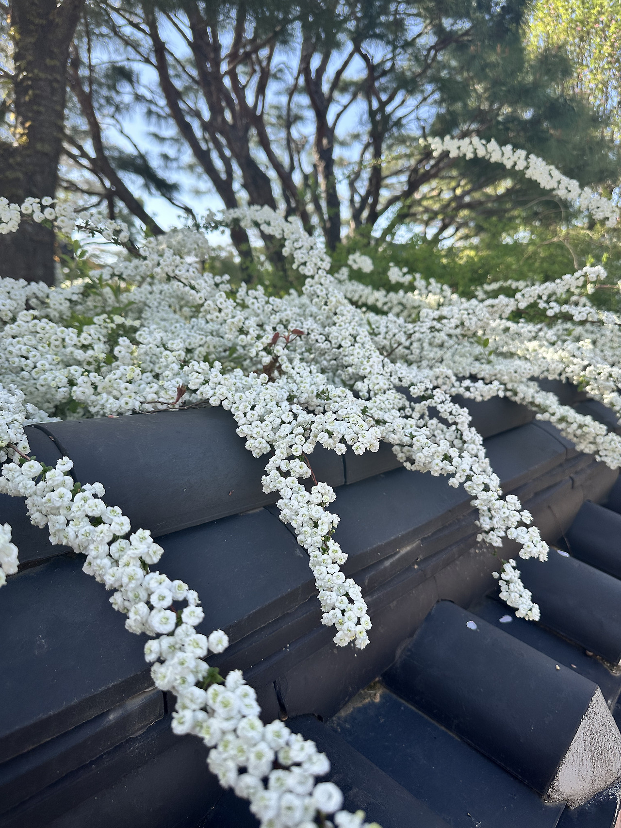사부작기록