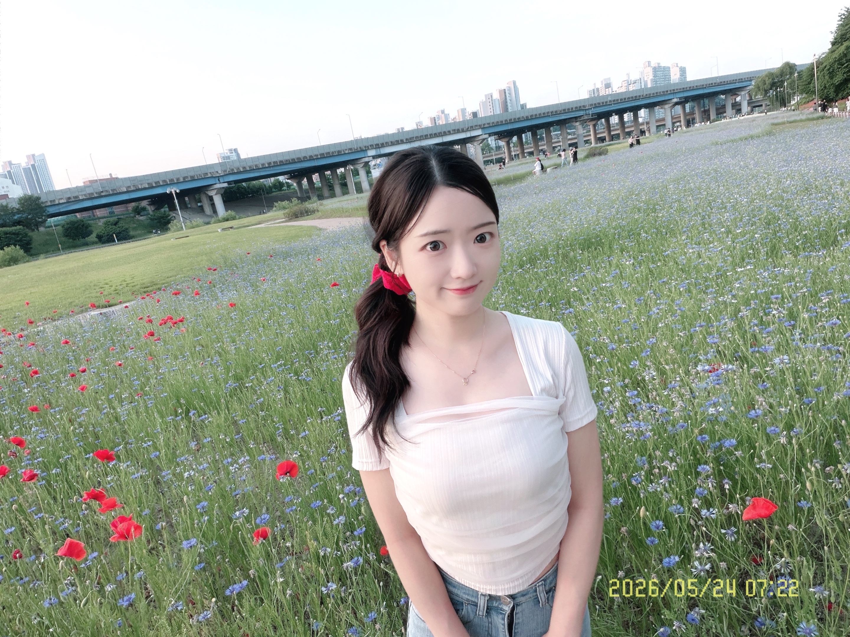 최다연