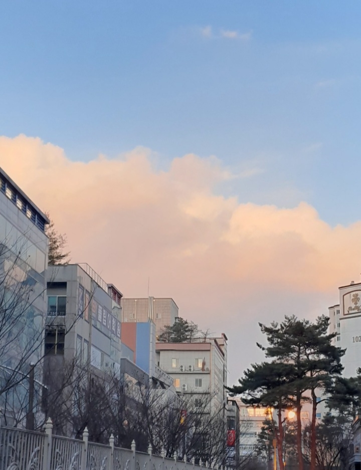 김단